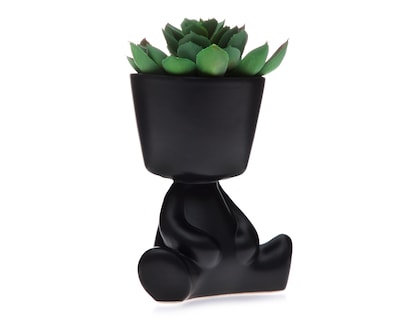 Foto 1 | Suculenta Artificial con Maceta Starhaus 17 cm