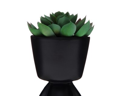 Foto 4 | Suculenta Artificial con Maceta Starhaus 17 cm