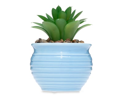 Foto 1 | Suculenta Artificial con Maceta Starhaus 12 cm