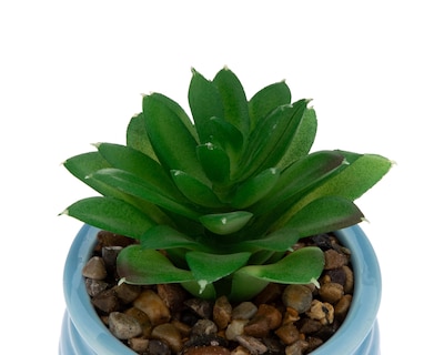 Foto 3 | Suculenta Artificial con Maceta Starhaus 12 cm