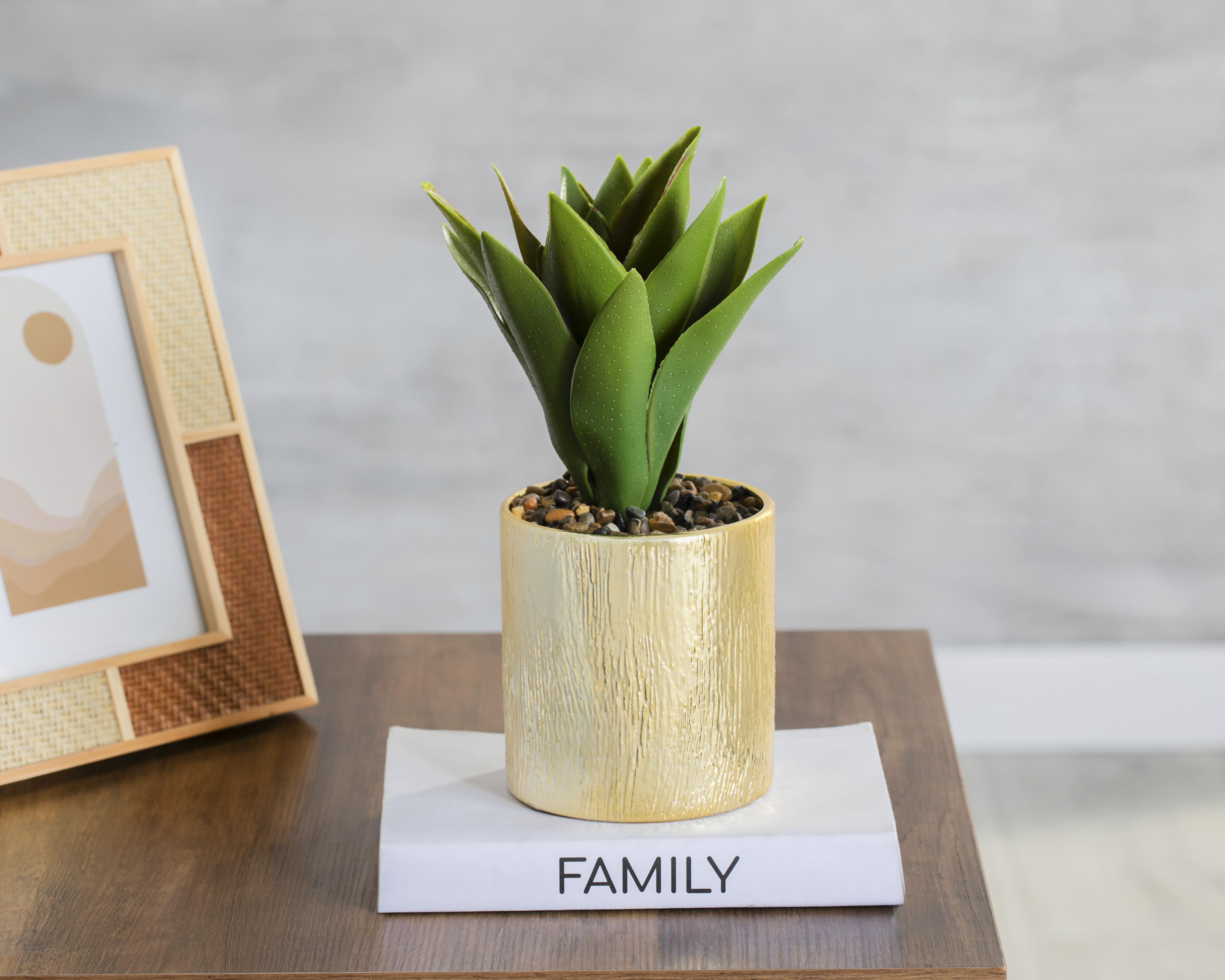 Foto 5 pulgar | Agave Artificial con Maceta Starhaus 25 cm