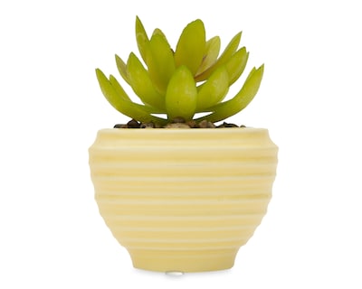 Foto 1 | Suculenta Artificial con Maceta Starhaus 10 cm