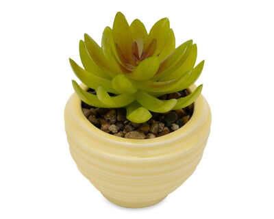 Foto 2 | Suculenta Artificial con Maceta Starhaus 10 cm