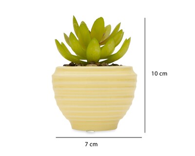 Foto 5 | Suculenta Artificial con Maceta Starhaus 10 cm