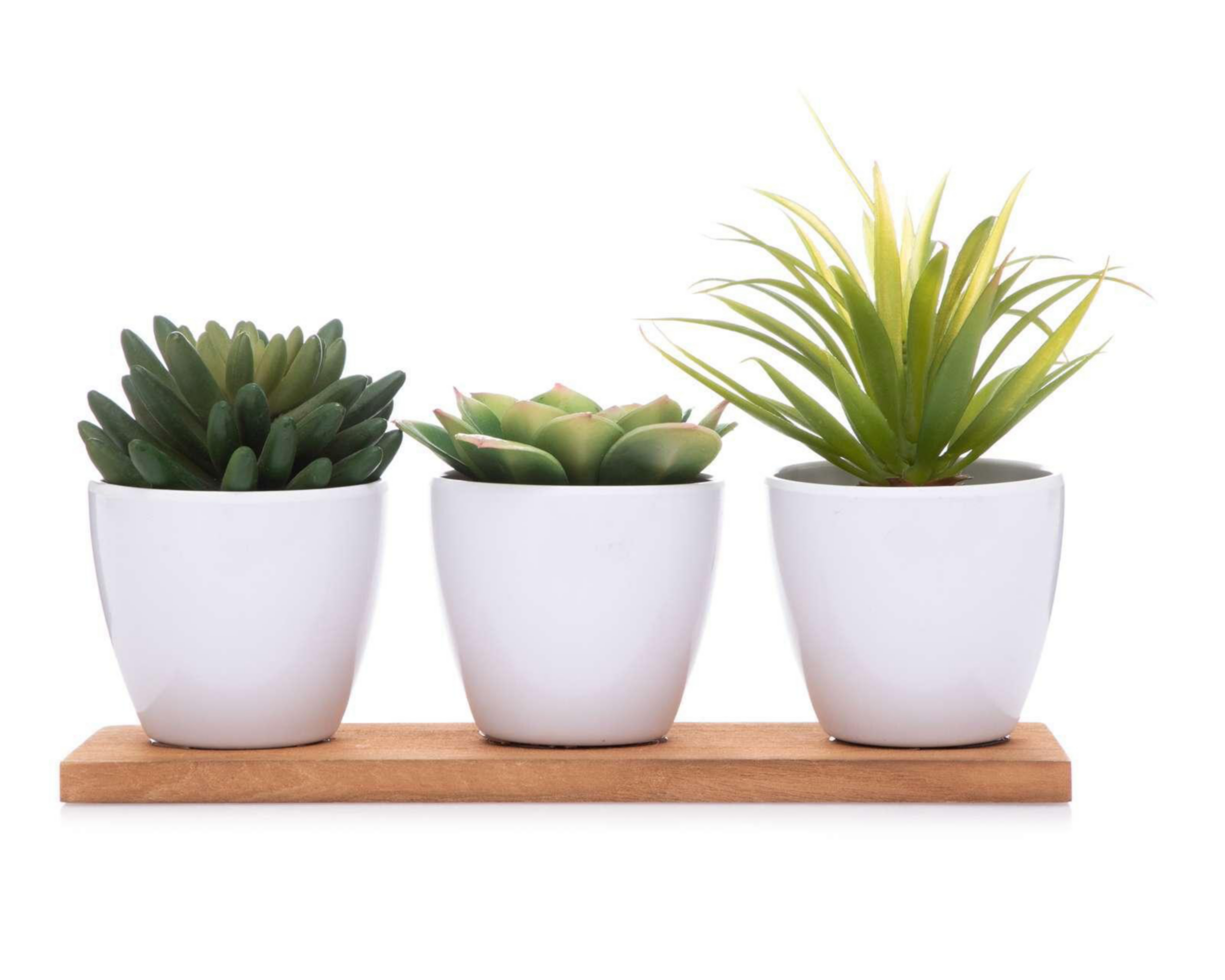 Planta Artificial con Maceta Starhaus