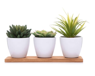 Foto 1 | Planta Artificial con Maceta Starhaus