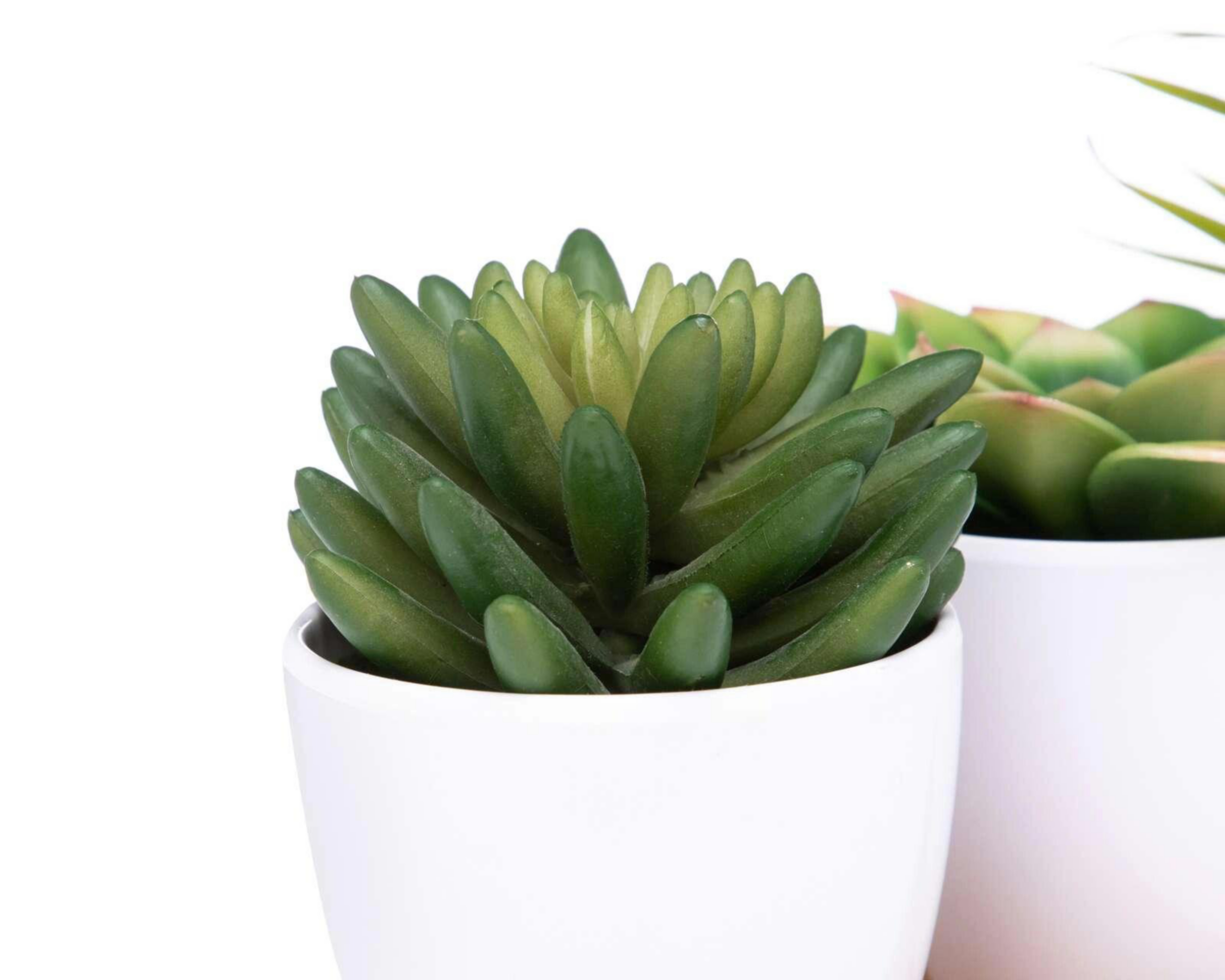 Foto 4 pulgar | Planta Artificial con Maceta Starhaus