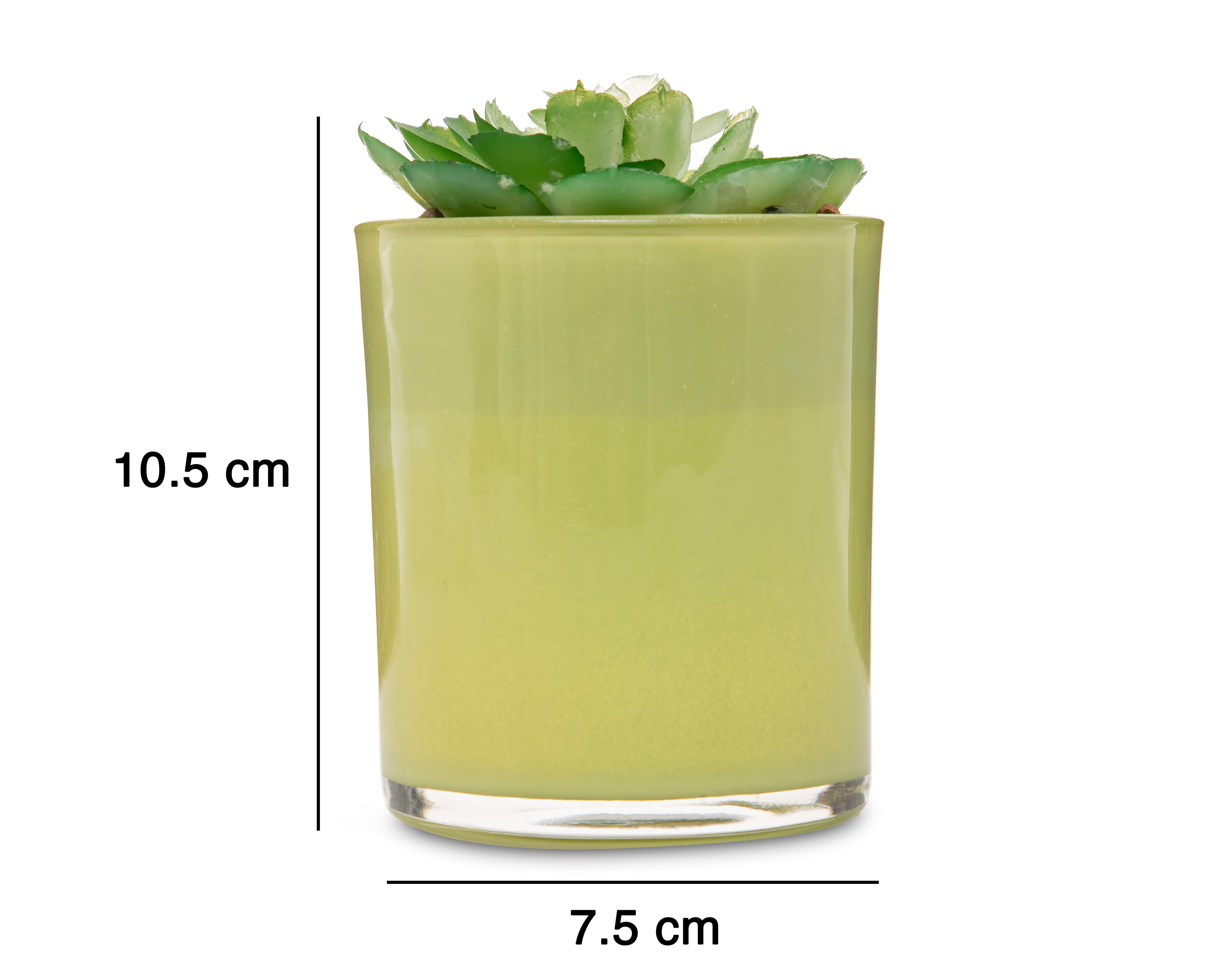 Foto 5 | Suculenta Artificial Starhaus 10.5 cm
