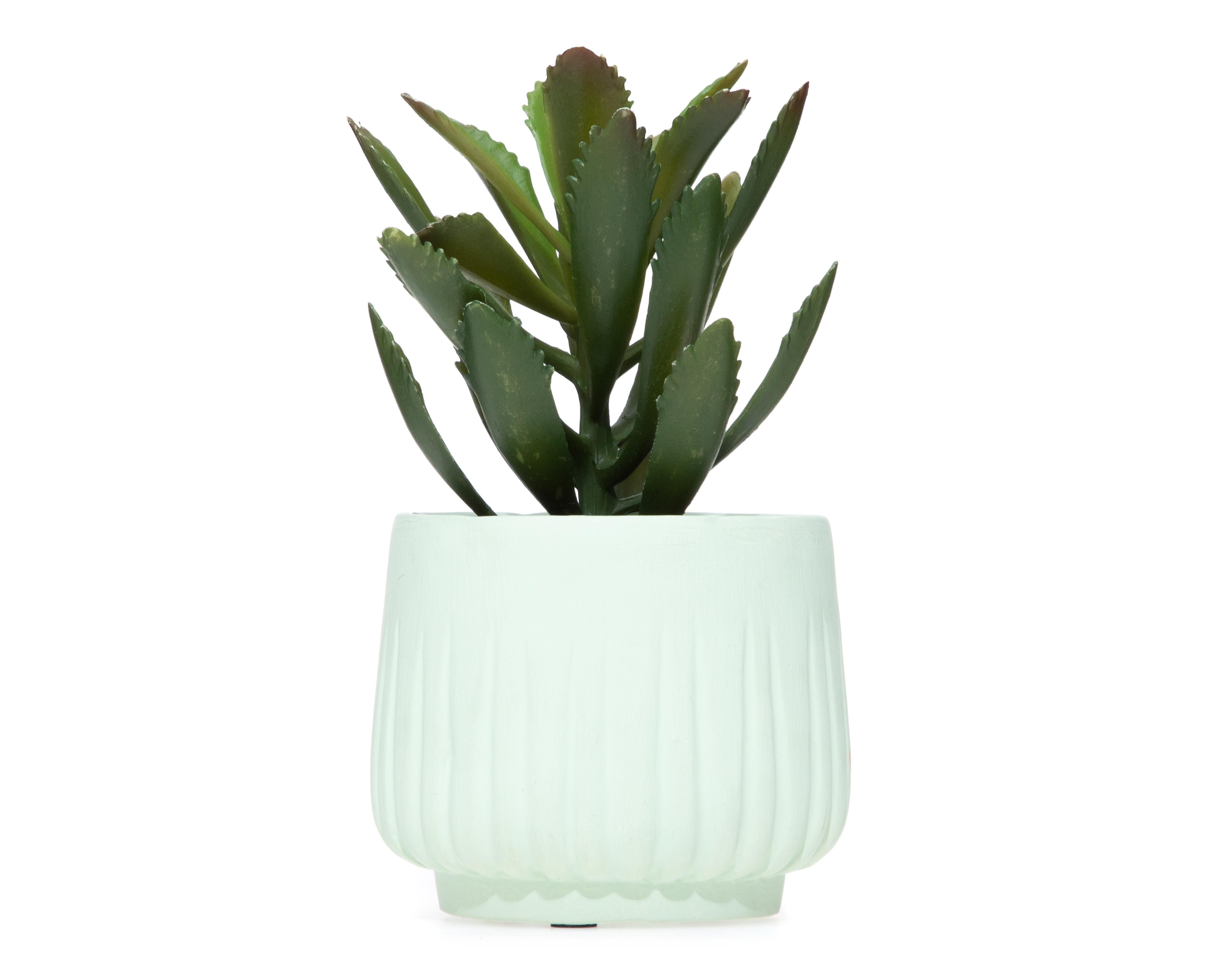 Suculenta Artificial con Maceta Starhaus 20 cm