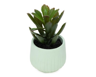 Foto 2 | Suculenta Artificial con Maceta Starhaus 20 cm
