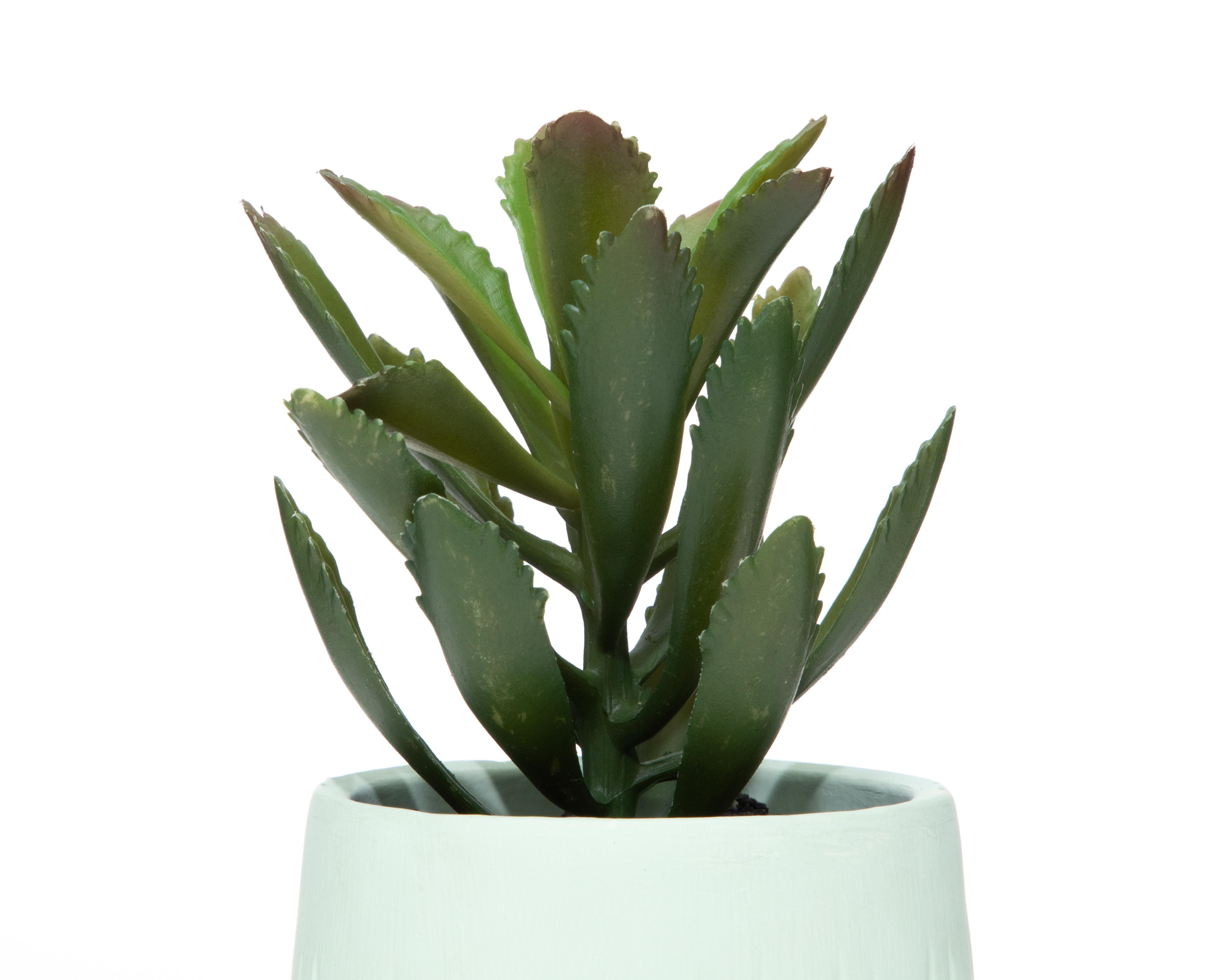 Foto 4 pulgar | Suculenta Artificial con Maceta Starhaus 20 cm