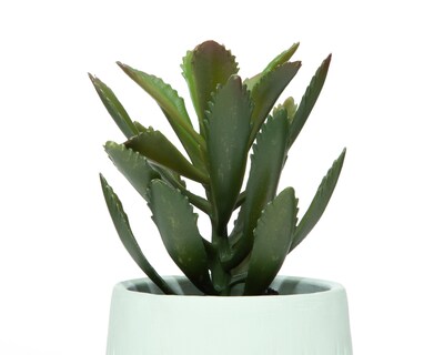 Foto 3 | Suculenta Artificial con Maceta Starhaus 20 cm