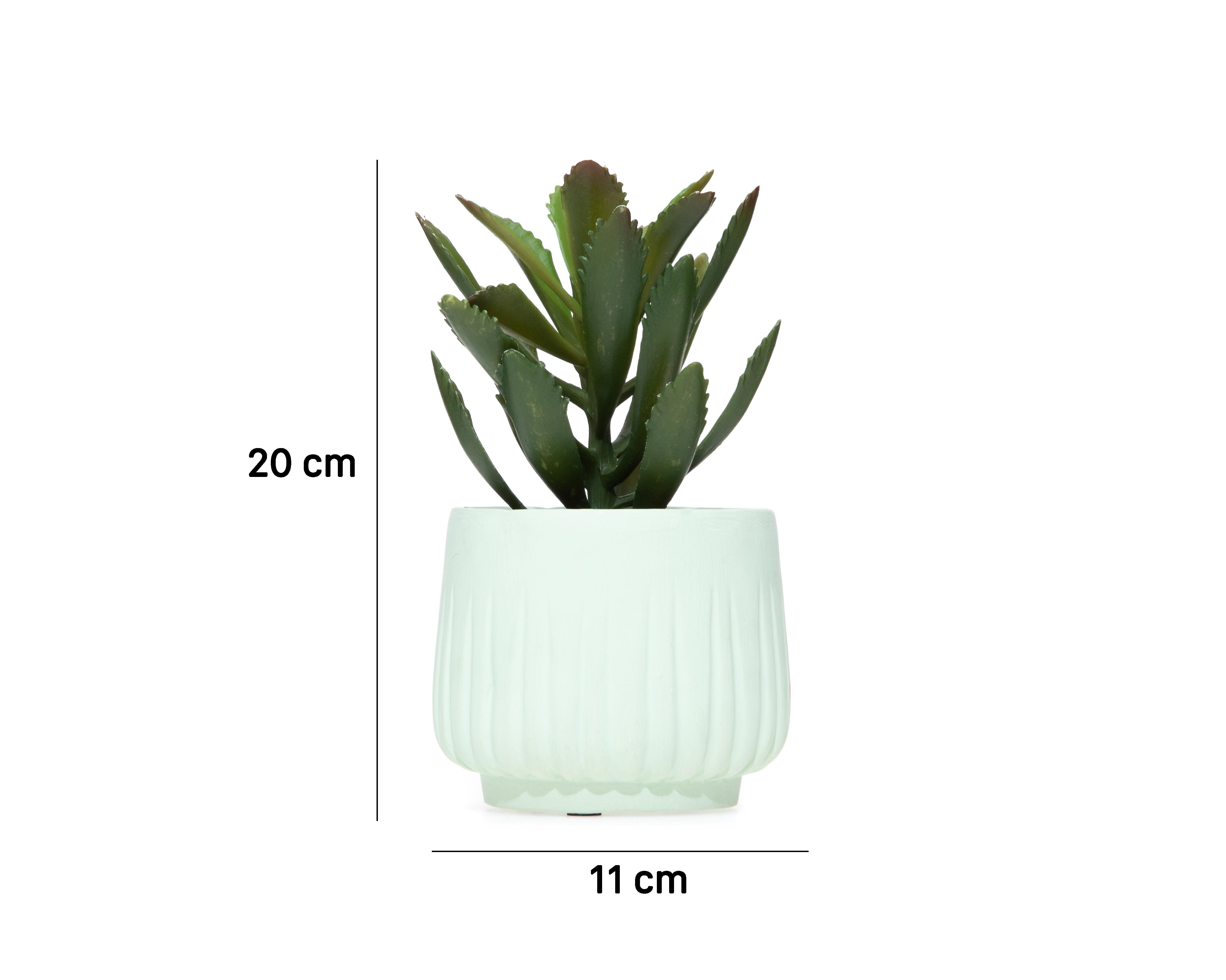 Foto 5 | Suculenta Artificial con Maceta Starhaus 20 cm
