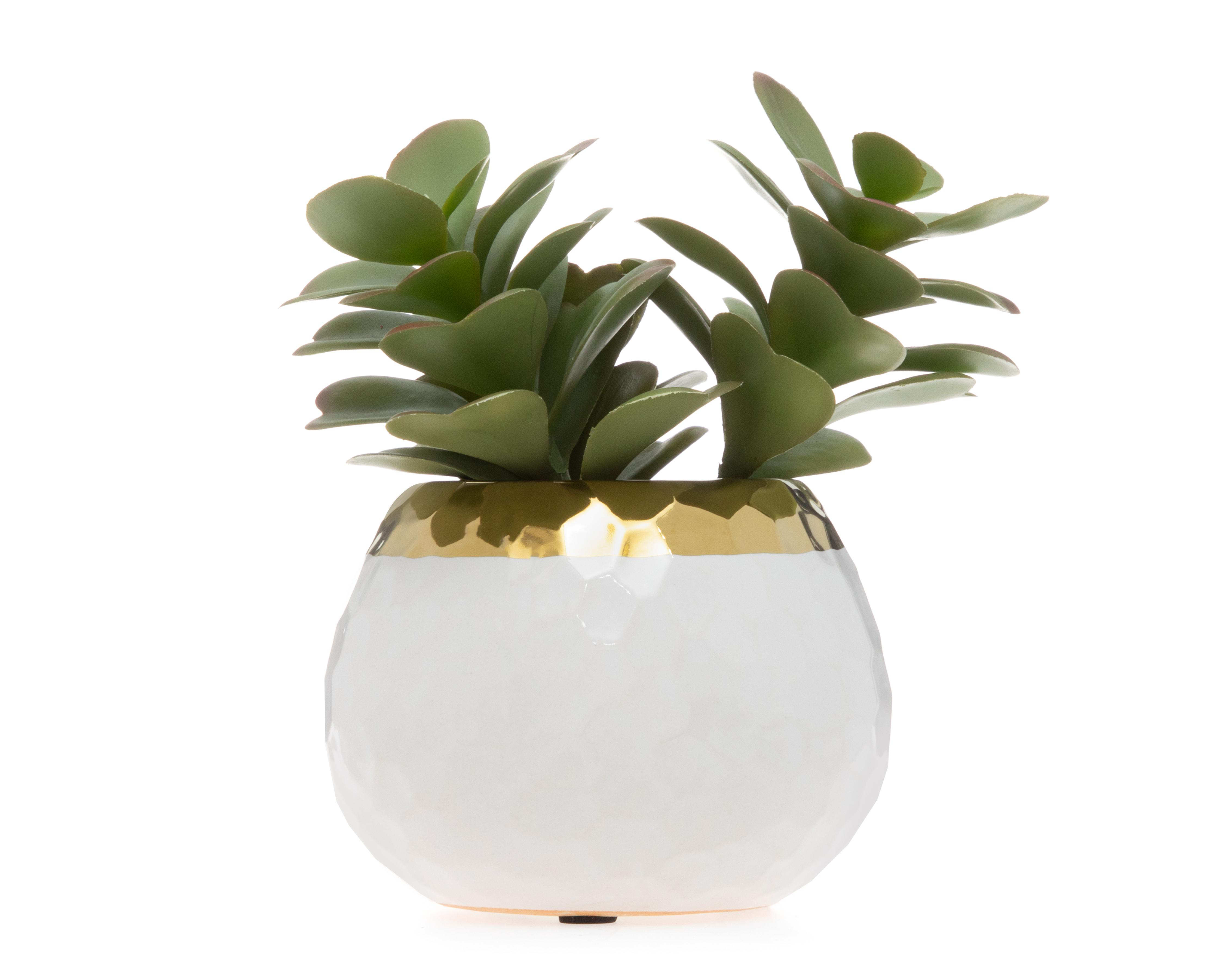 Suculenta Artificial con Maceta Starhaus 14 cm