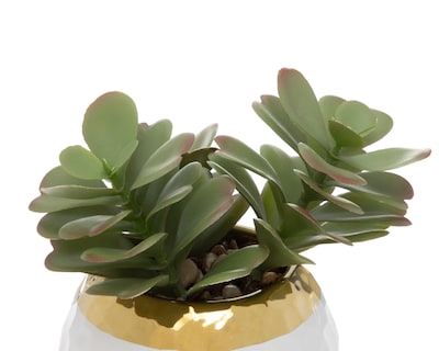 Foto 3 | Suculenta Artificial con Maceta Starhaus 14 cm