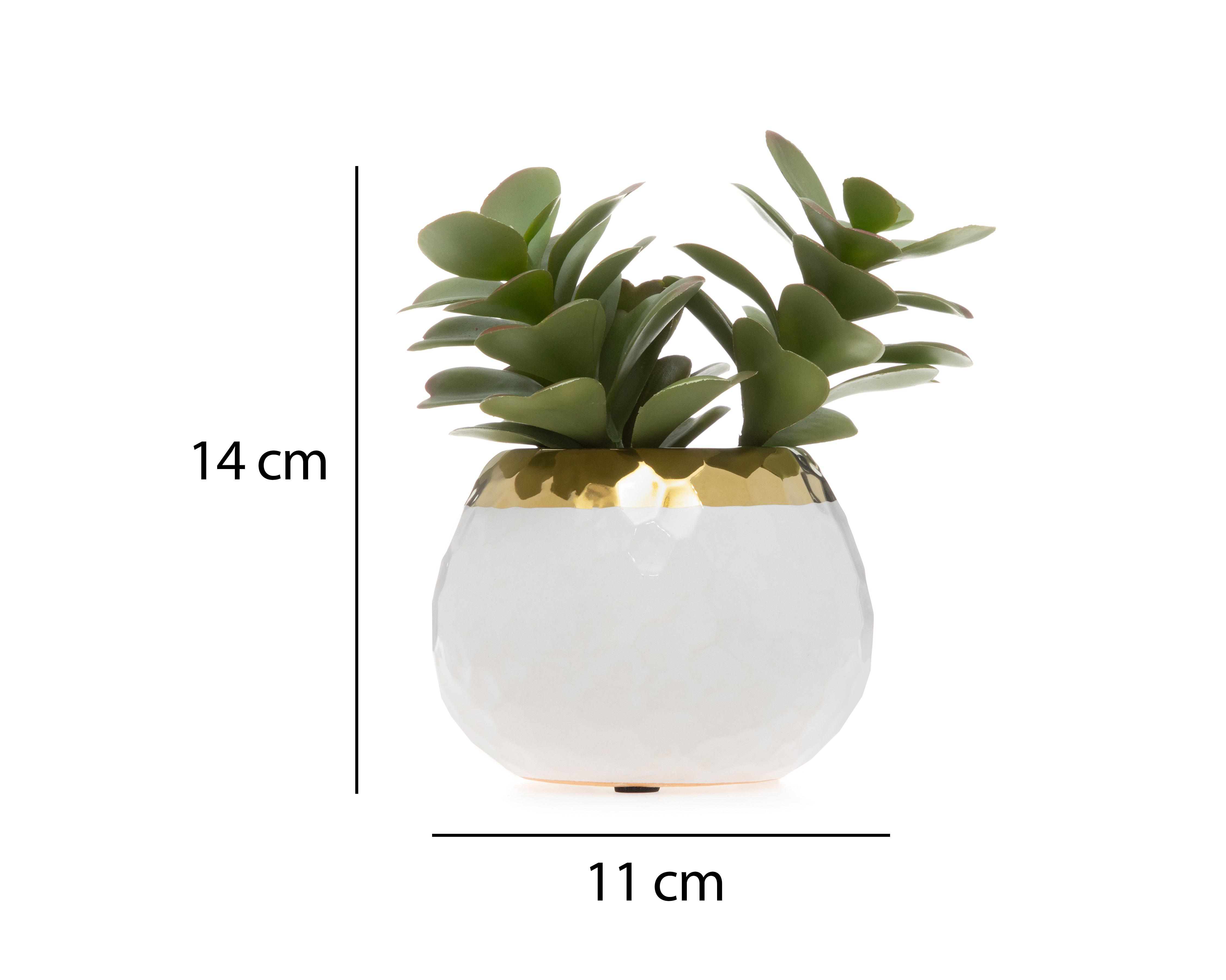 Foto 5 | Suculenta Artificial con Maceta Starhaus 14 cm