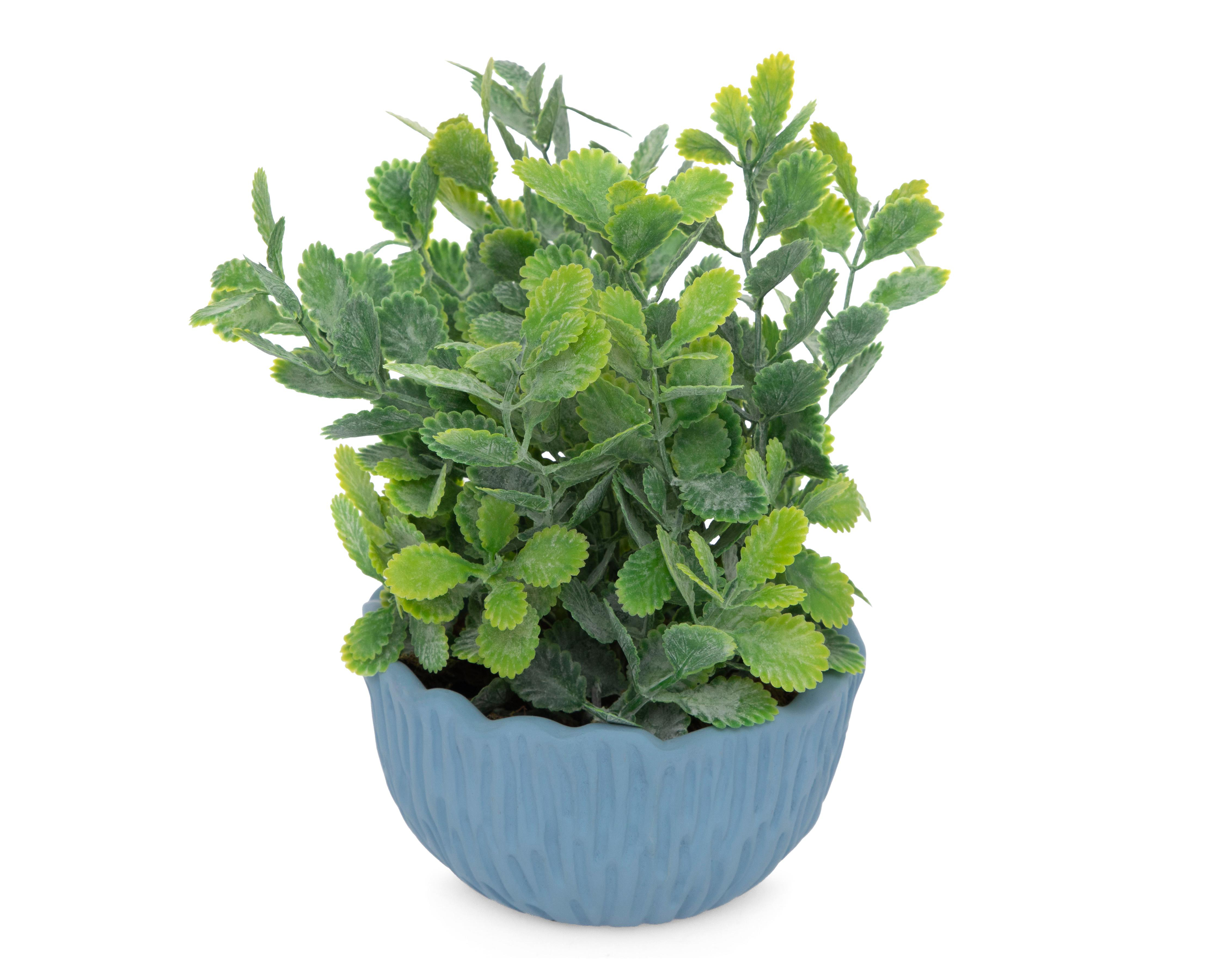 Foto 3 pulgar | Kalanchoe Artificial con Maceta Starhaus 19 cm