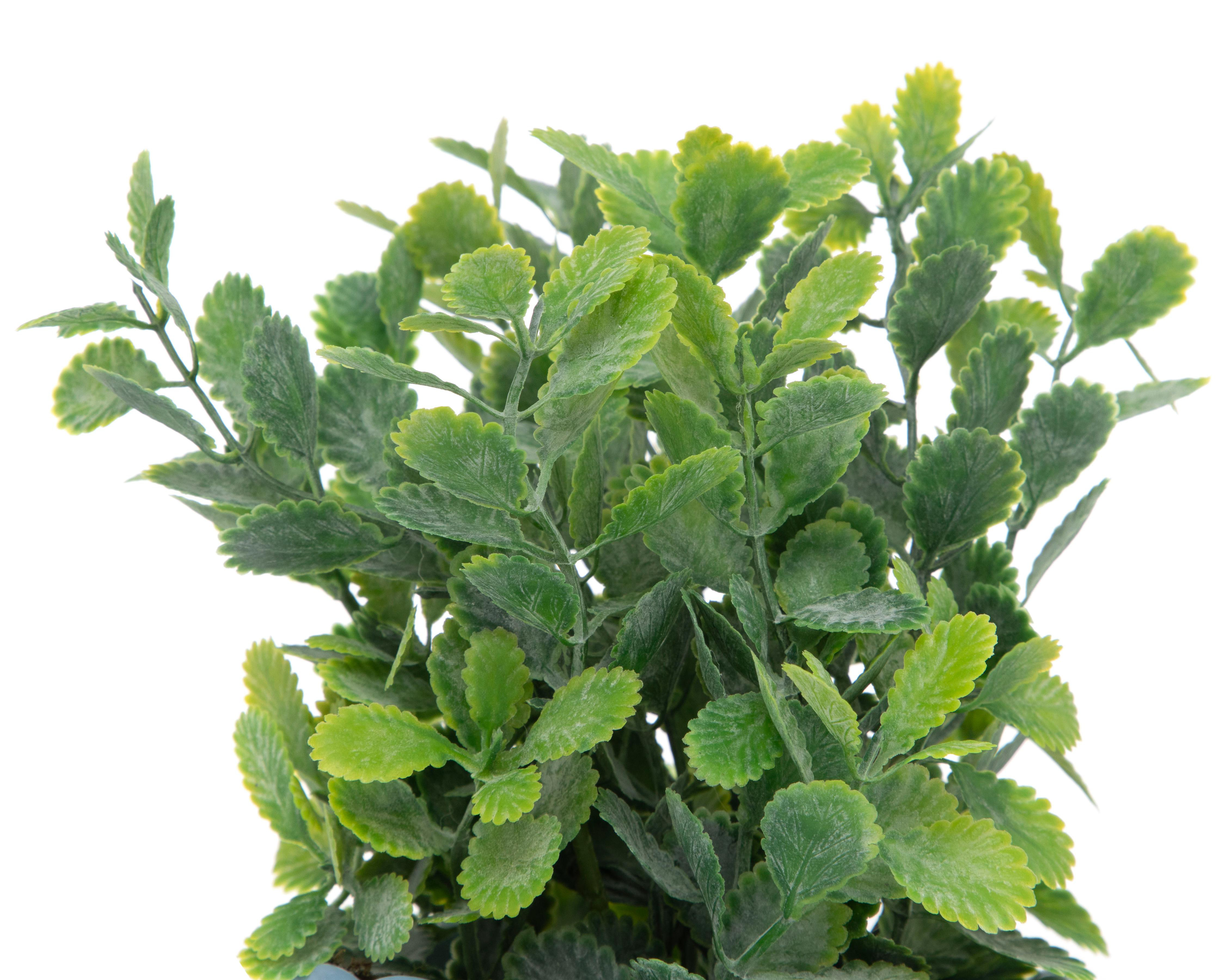 Foto 4 pulgar | Kalanchoe Artificial con Maceta Starhaus 19 cm