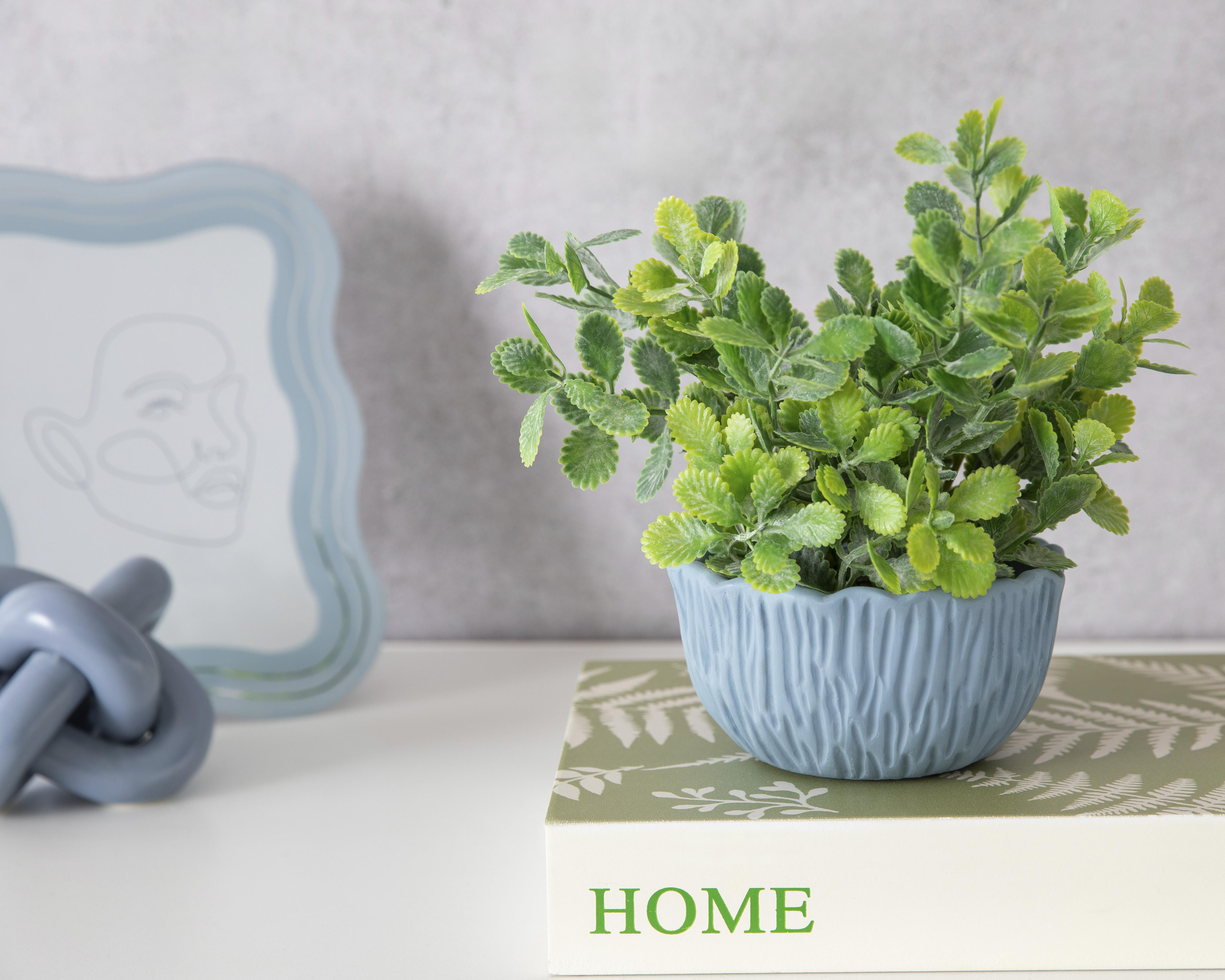 Foto 5 pulgar | Kalanchoe Artificial con Maceta Starhaus 19 cm