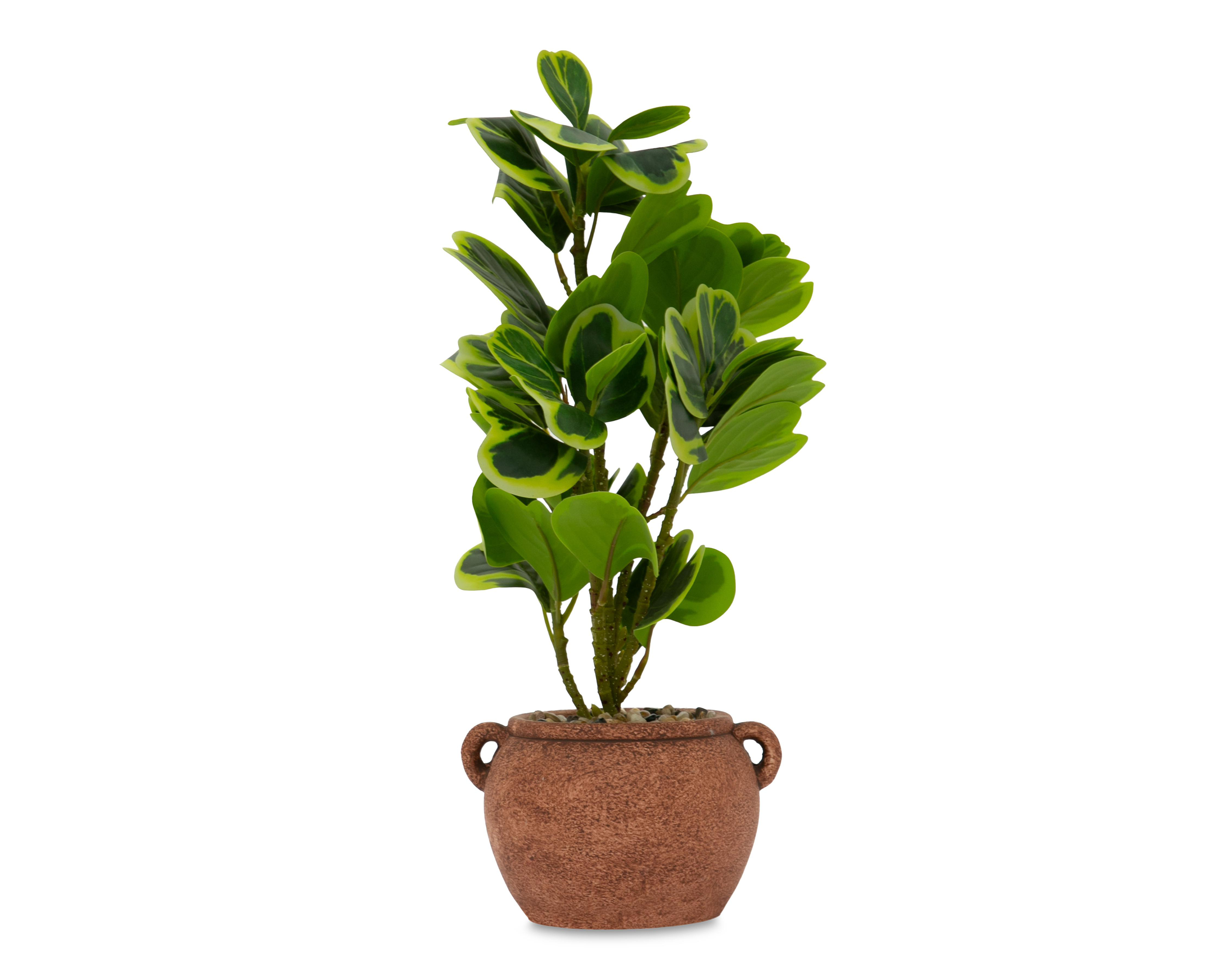 Peperomia Artificial con Maceta Starhaus 41 cm