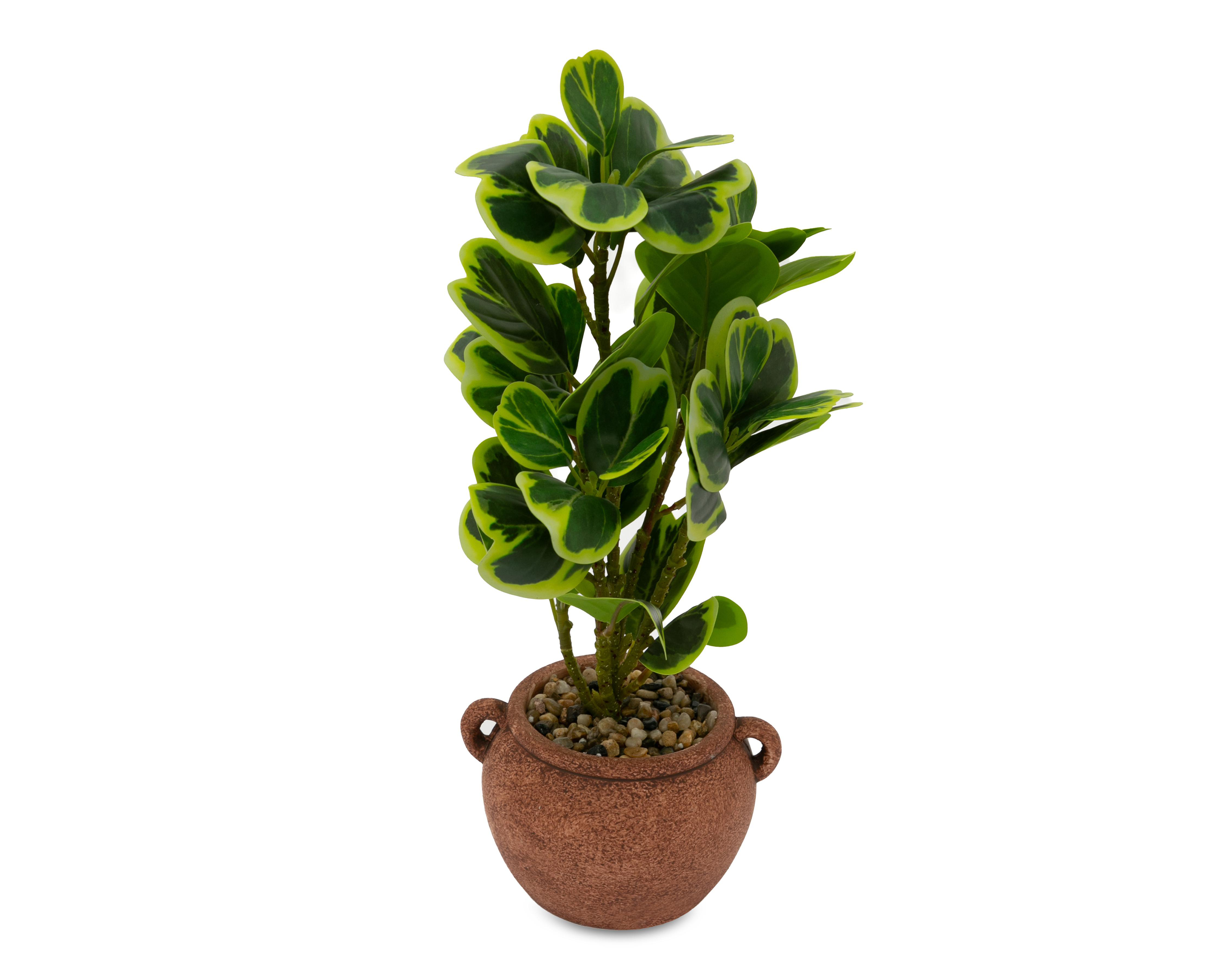 Foto 3 pulgar | Peperomia Artificial con Maceta Starhaus 41 cm