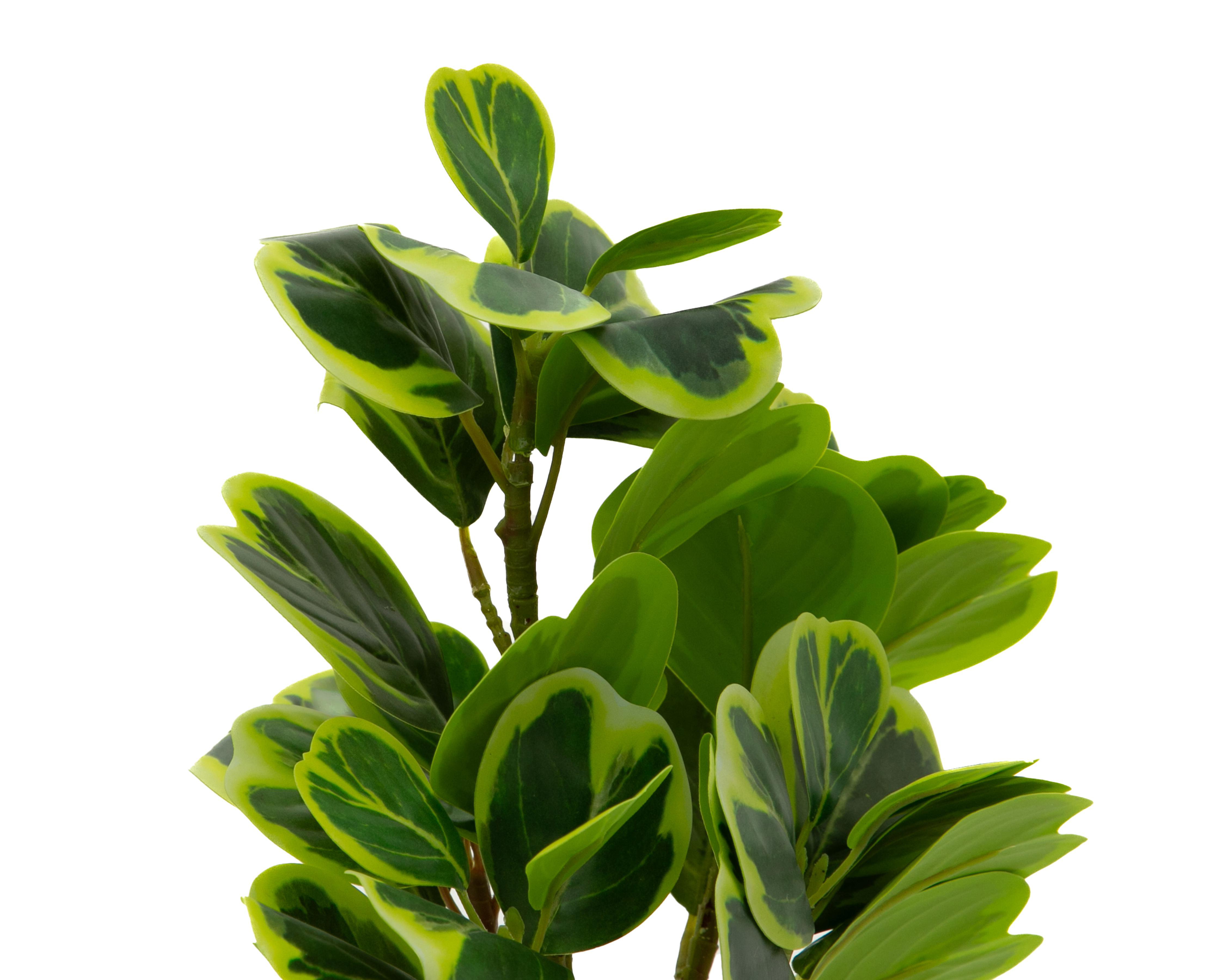 Foto 3 | Peperomia Artificial con Maceta Starhaus 41 cm