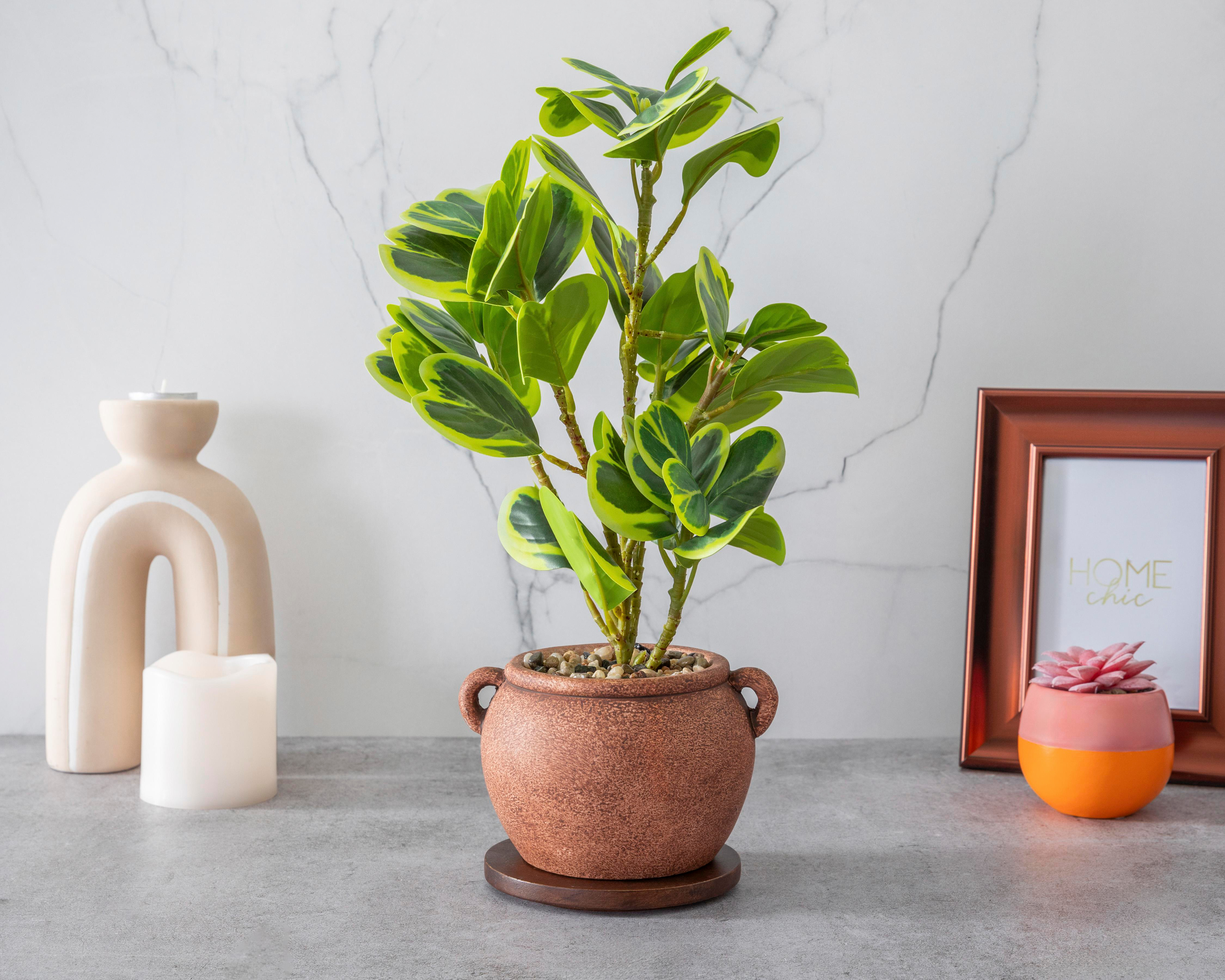 Foto 5 pulgar | Peperomia Artificial con Maceta Starhaus 41 cm