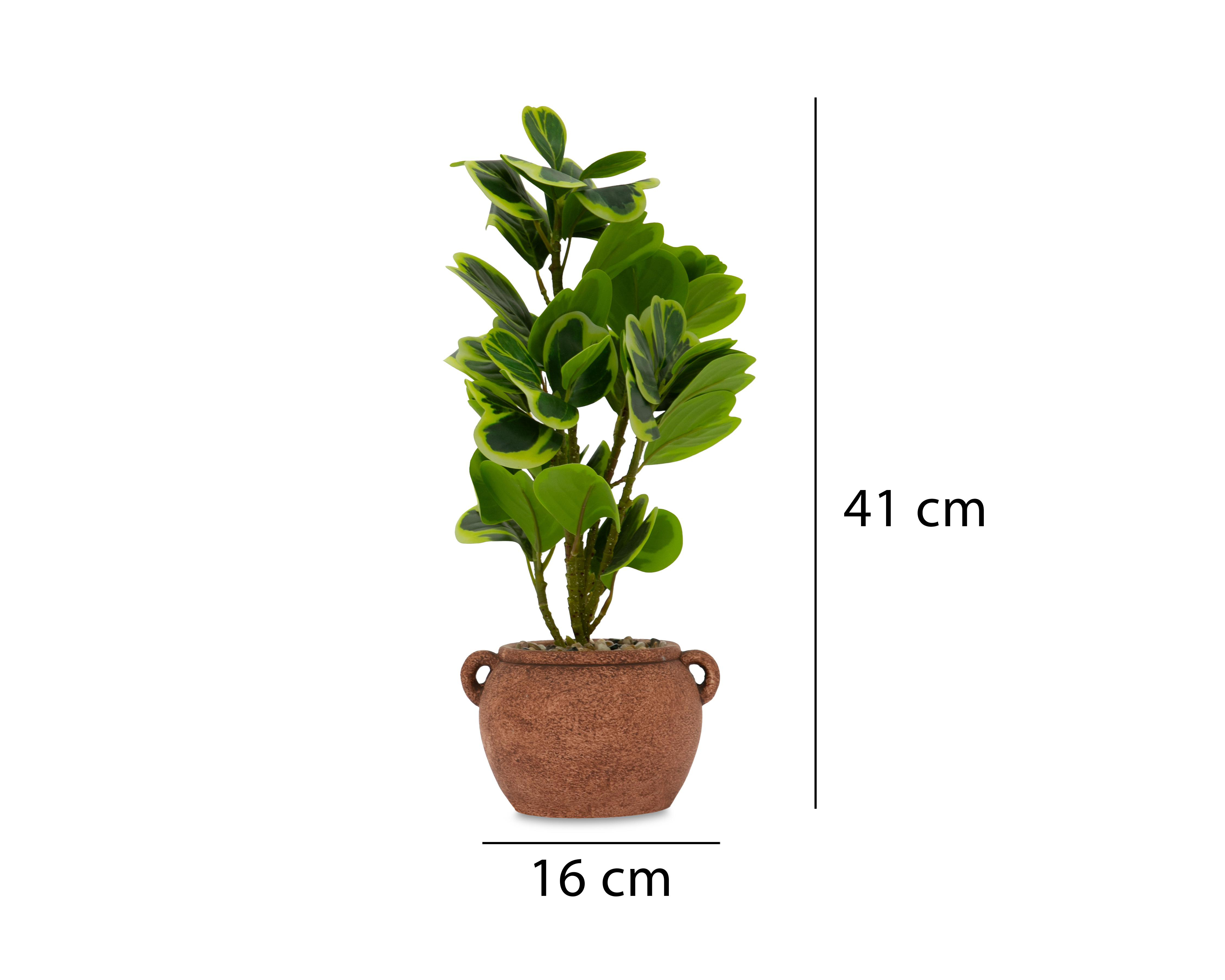 Foto 5 | Peperomia Artificial con Maceta Starhaus 41 cm