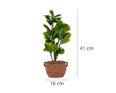 Foto 5 | Peperomia Artificial con Maceta Starhaus 41 cm