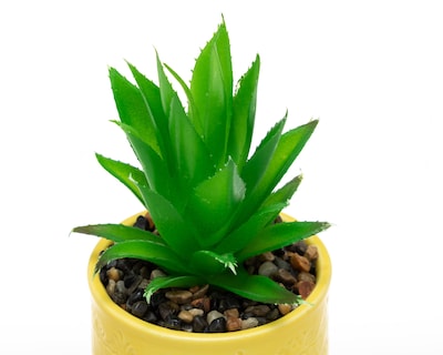 Foto 3 | Suculenta Artificial con Maceta Starhaus 18 cm