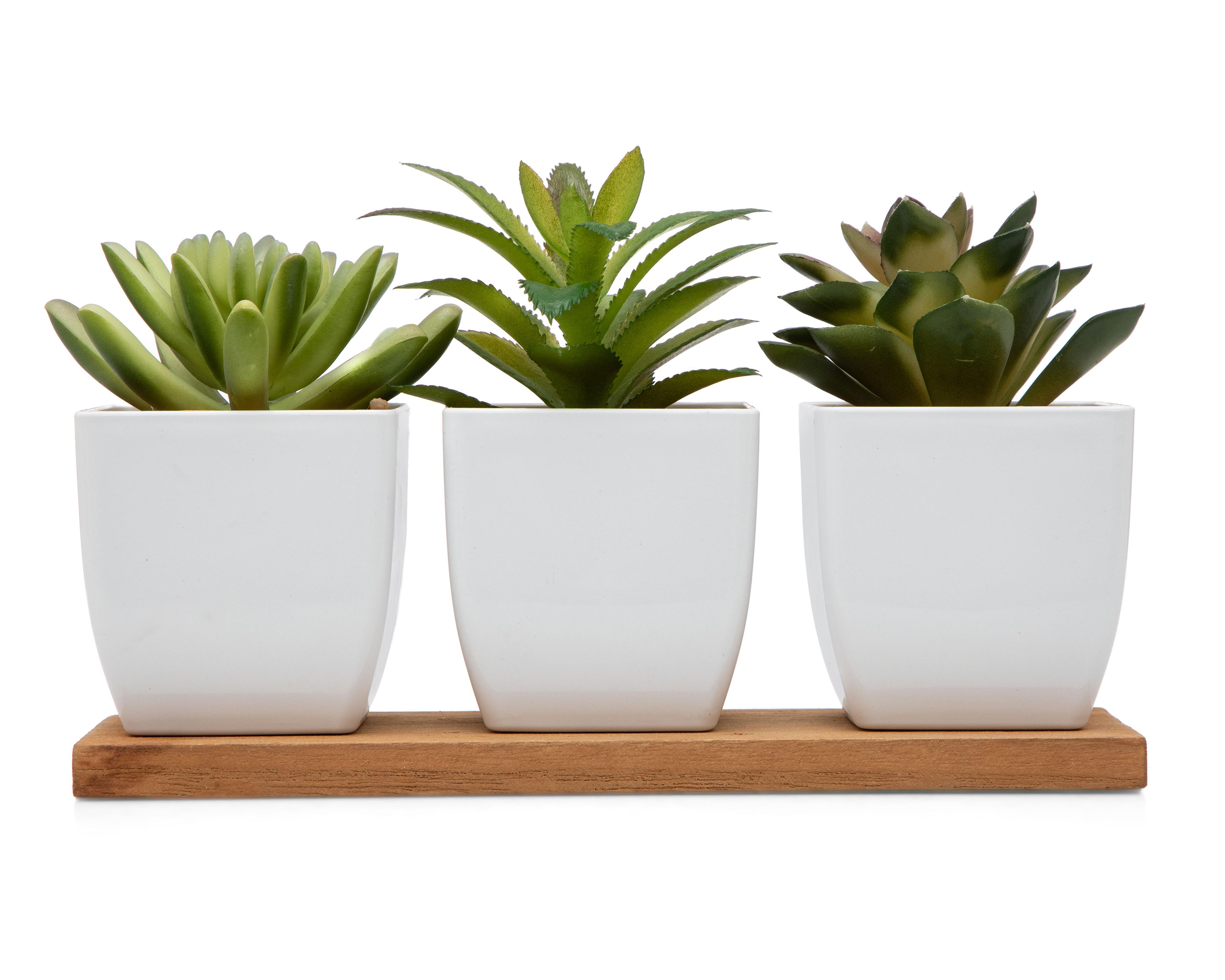 Suculenta Artificial con Maceta Starhaus 13 cm 3 Piezas