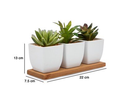 Foto 5 | Suculenta Artificial con Maceta Starhaus 13 cm 3 Piezas