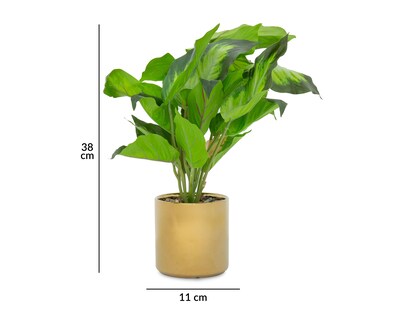 Foto 5 | Camila Artificial con Maceta Starhaus 38 cm