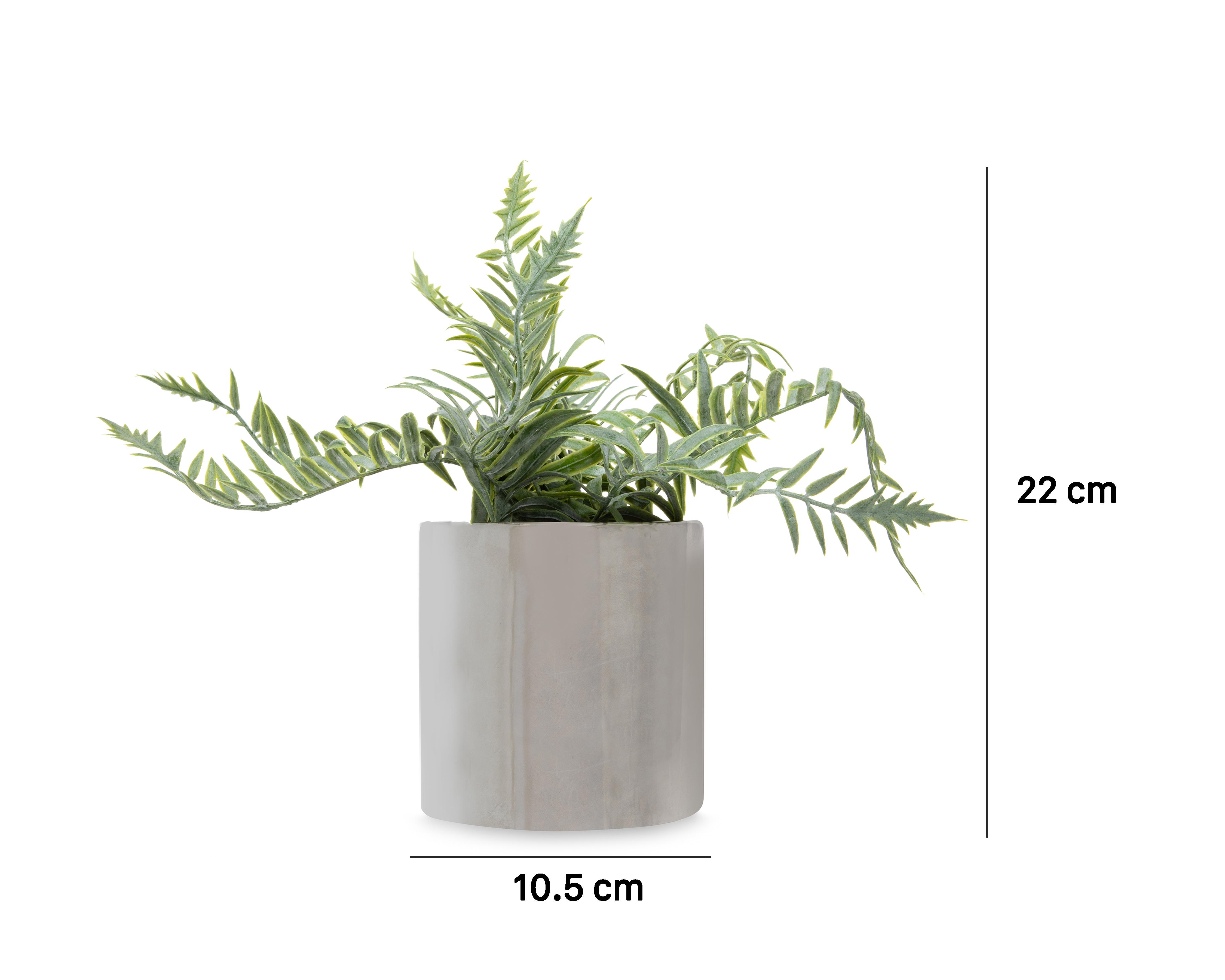 Foto 6 pulgar | Planta Artificial con Maceta Starhaus 22 cm