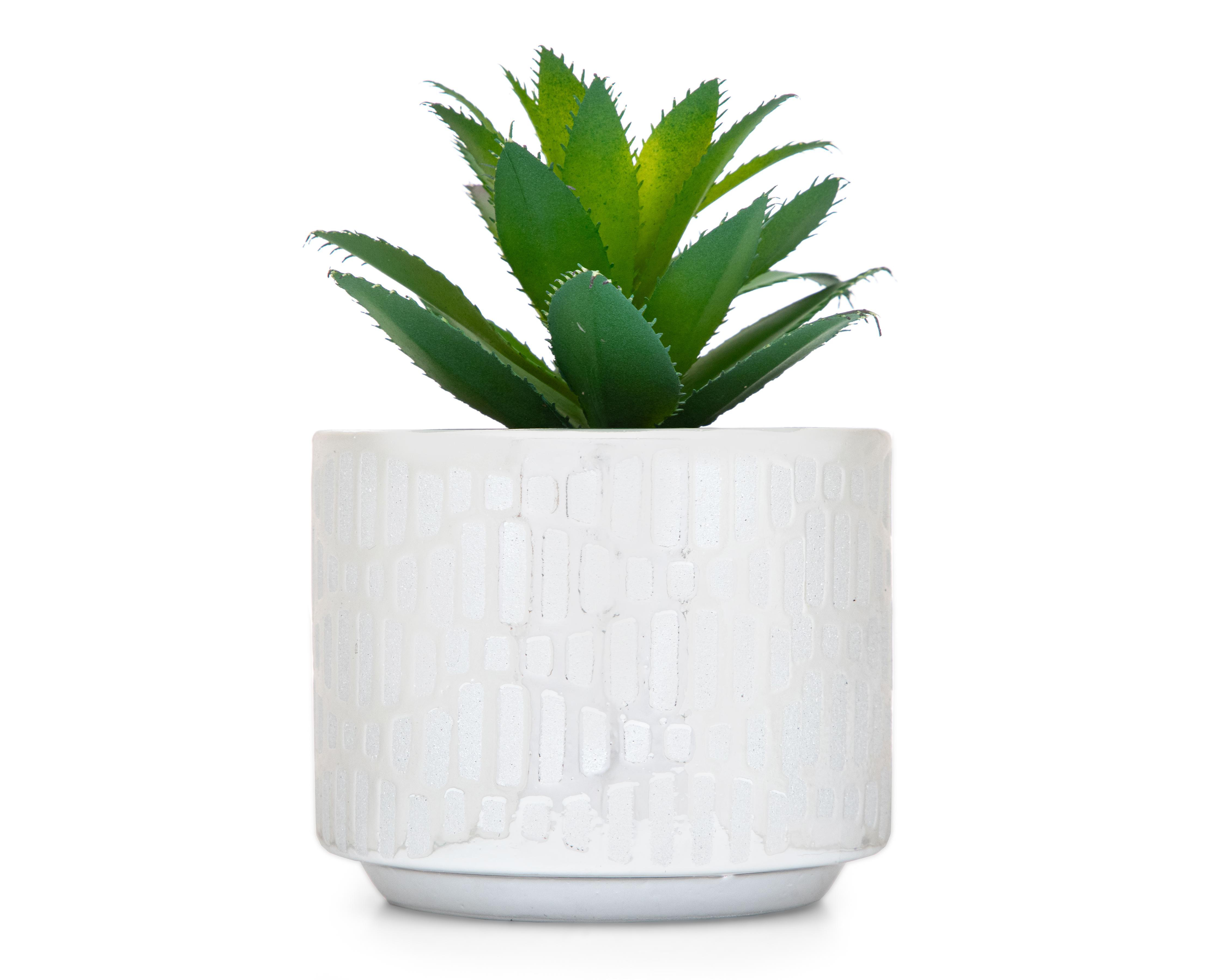 Foto 1 | Suculenta Artificial con Maceta Starhaus 16 cm