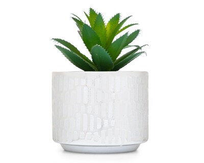 Foto 1 | Suculenta Artificial con Maceta Starhaus 16 cm