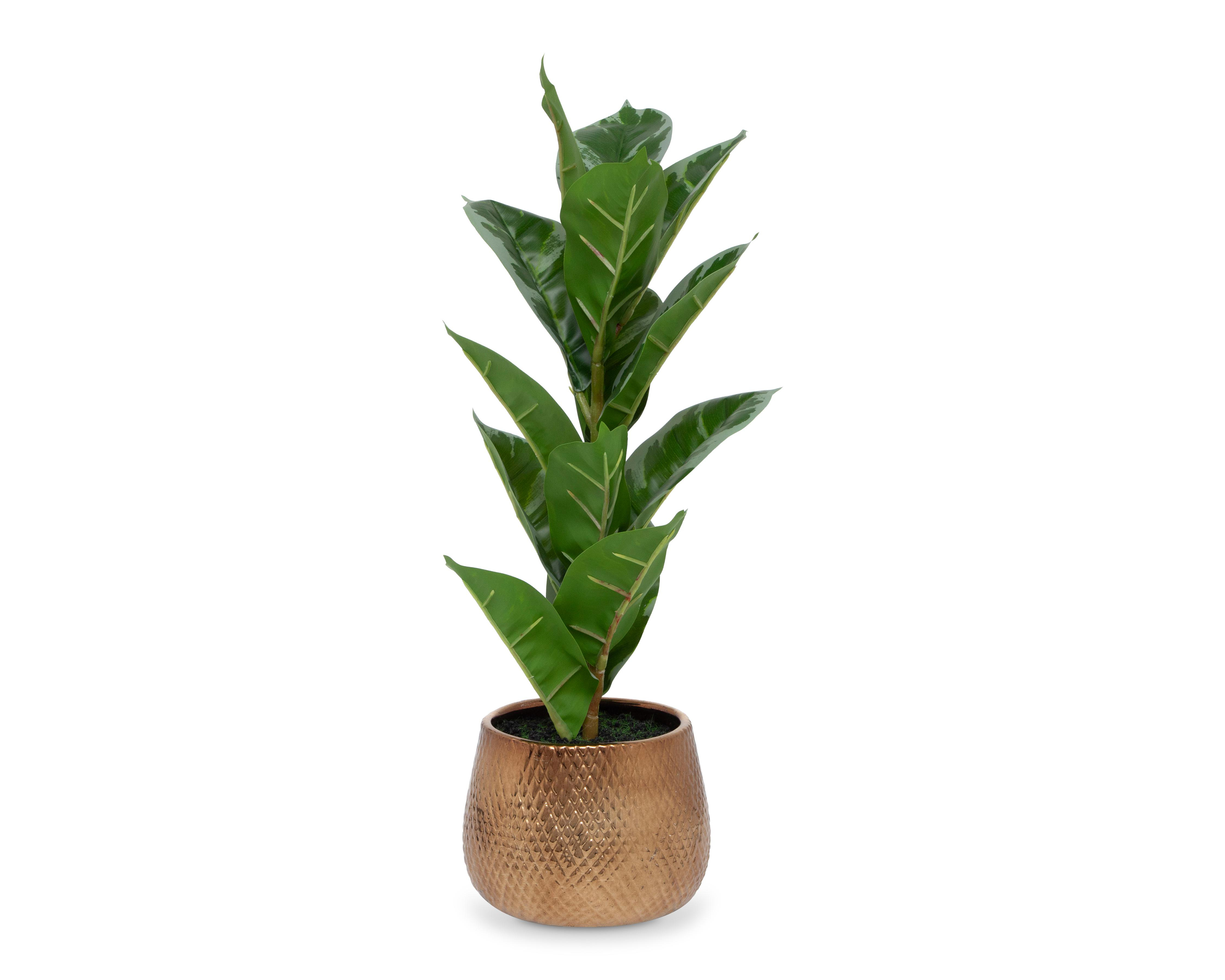 Foto 2 pulgar | Ficus Artificial con Maceta Starhaus 53 cm