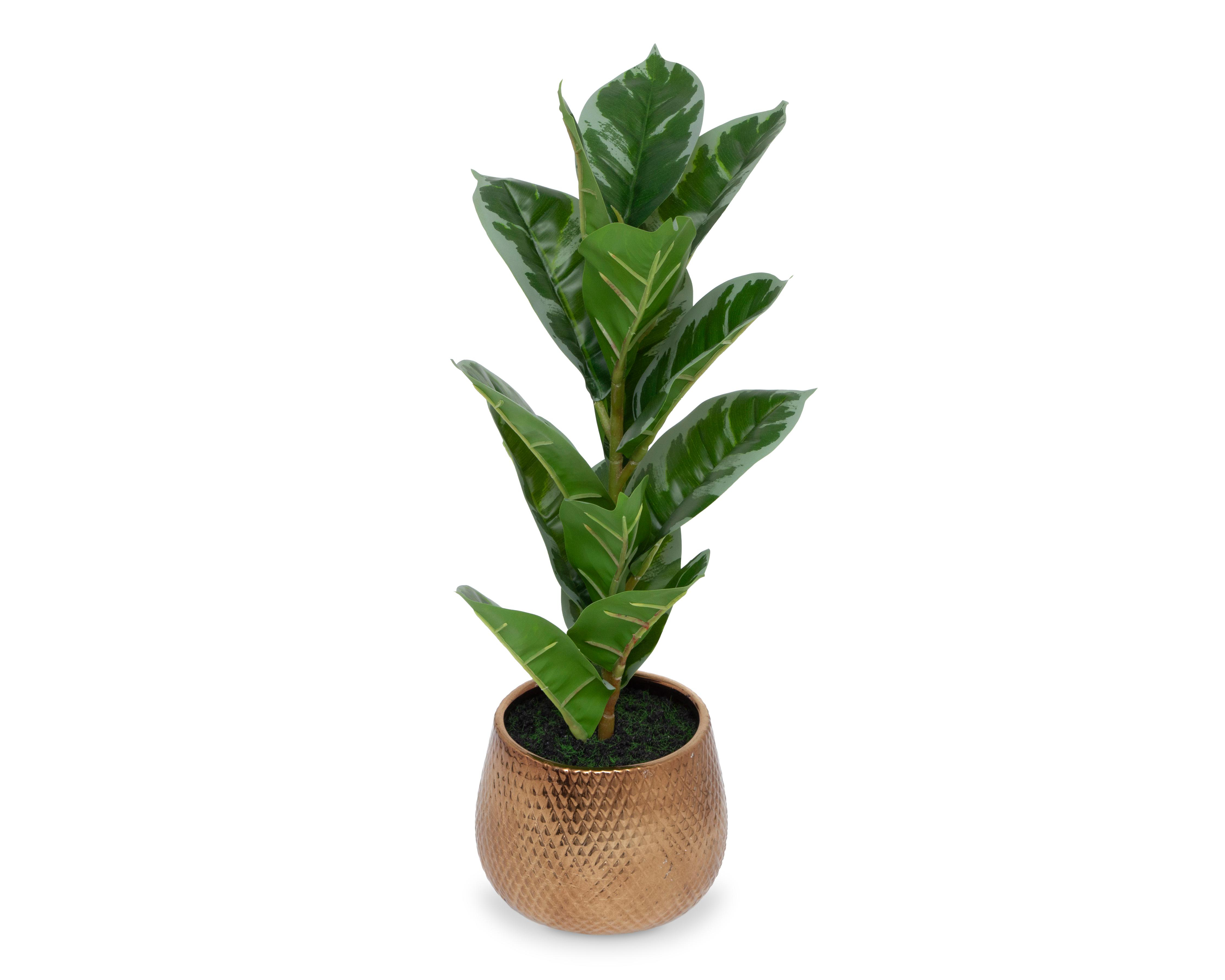 Foto 3 pulgar | Ficus Artificial con Maceta Starhaus 53 cm