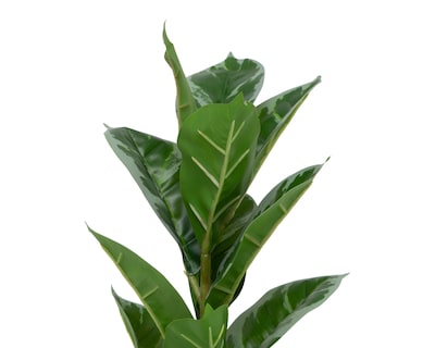 Foto 3 | Ficus Artificial con Maceta Starhaus 53 cm