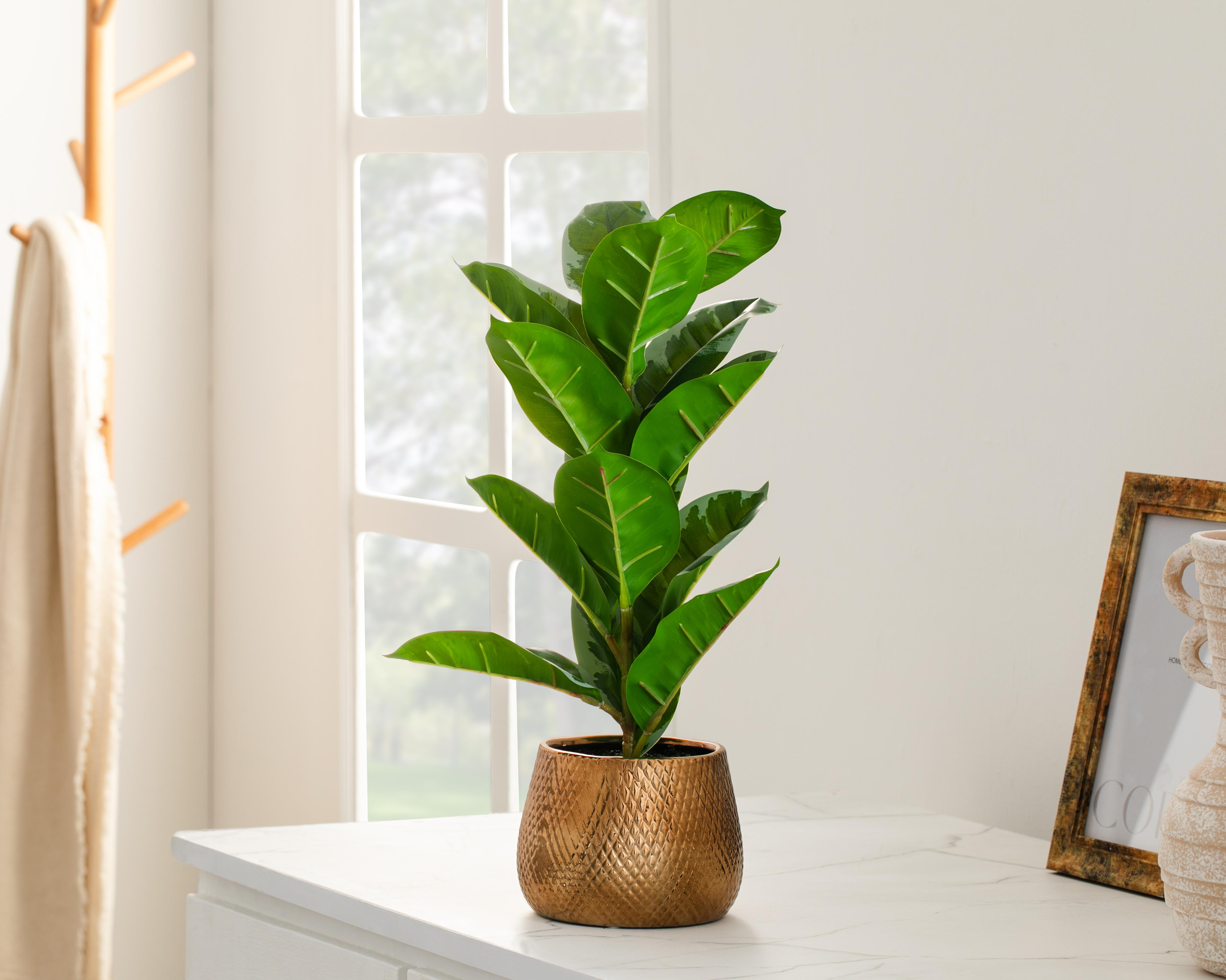Foto 5 pulgar | Ficus Artificial con Maceta Starhaus 53 cm