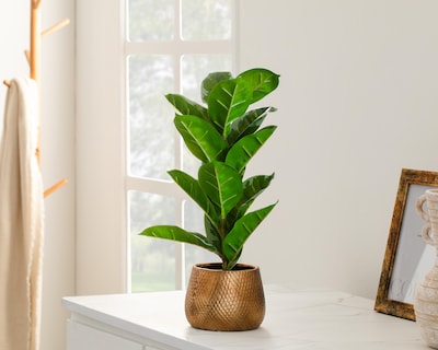 Foto 4 | Ficus Artificial con Maceta Starhaus 53 cm