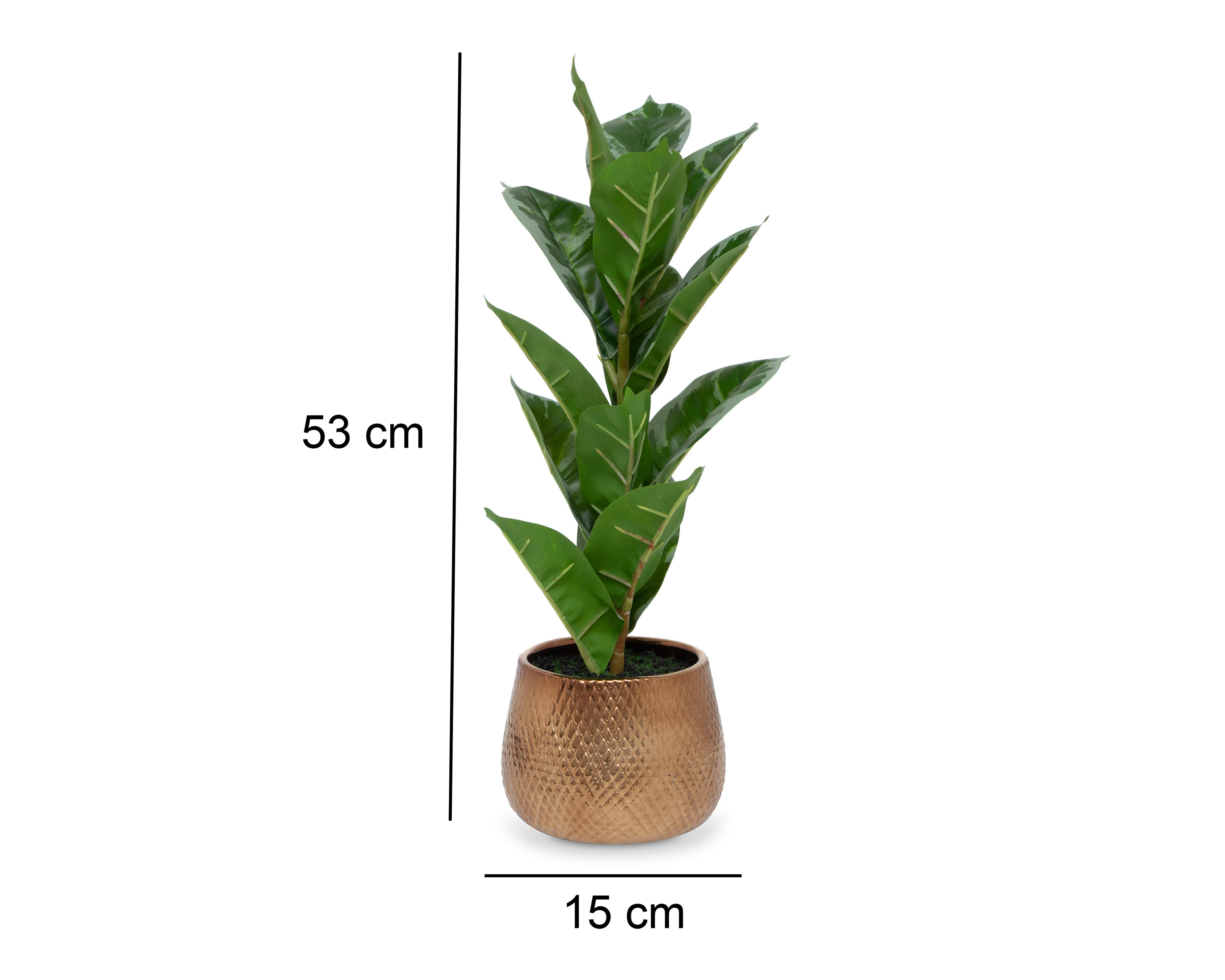 Foto 6 pulgar | Ficus Artificial con Maceta Starhaus 53 cm