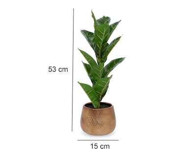 Foto 5 | Ficus Artificial con Maceta Starhaus 53 cm