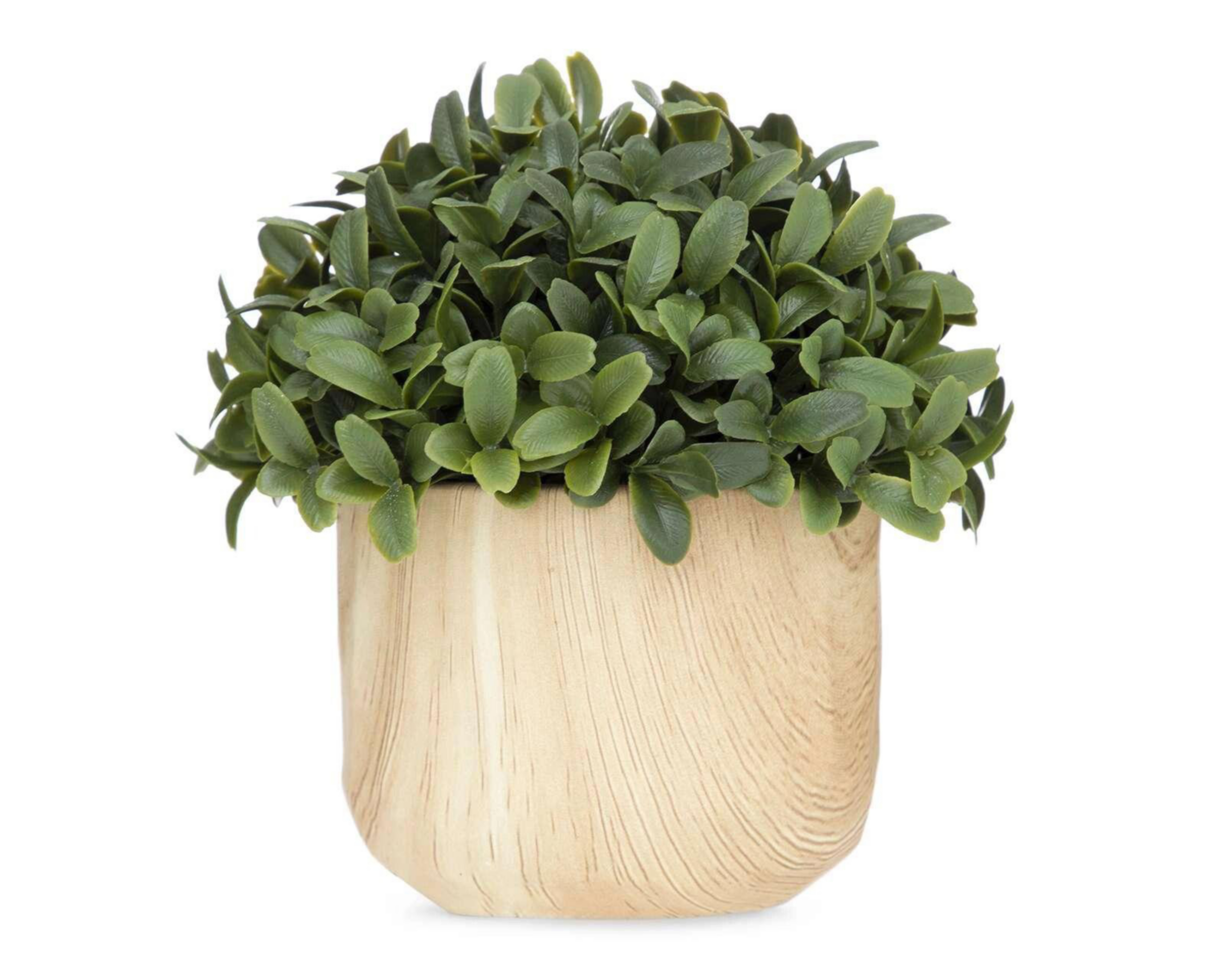 Foto 1 | Planta Artificial con Maceta Starhaus 17.7 cm