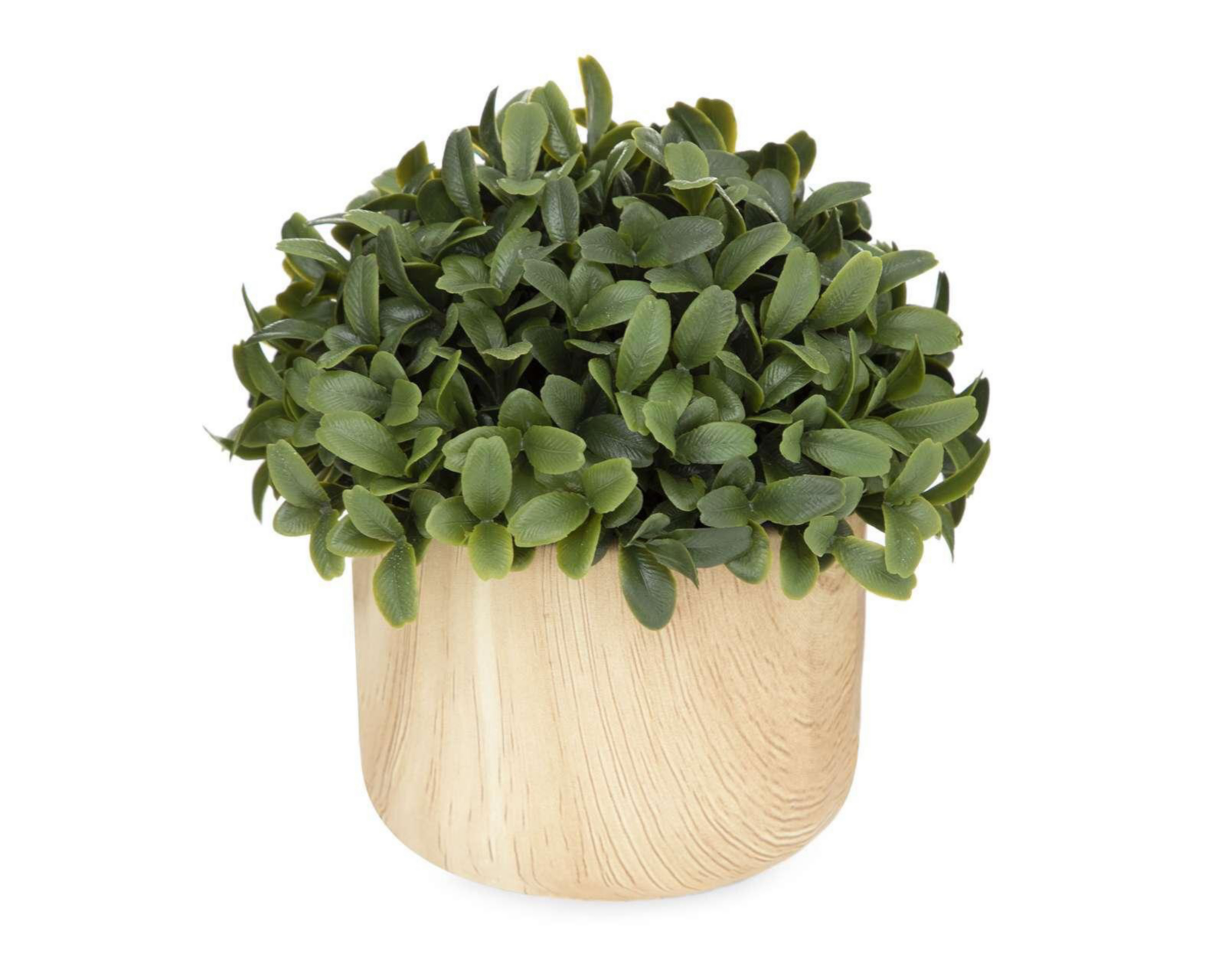 Foto 3 pulgar | Planta Artificial con Maceta Starhaus 17.7 cm