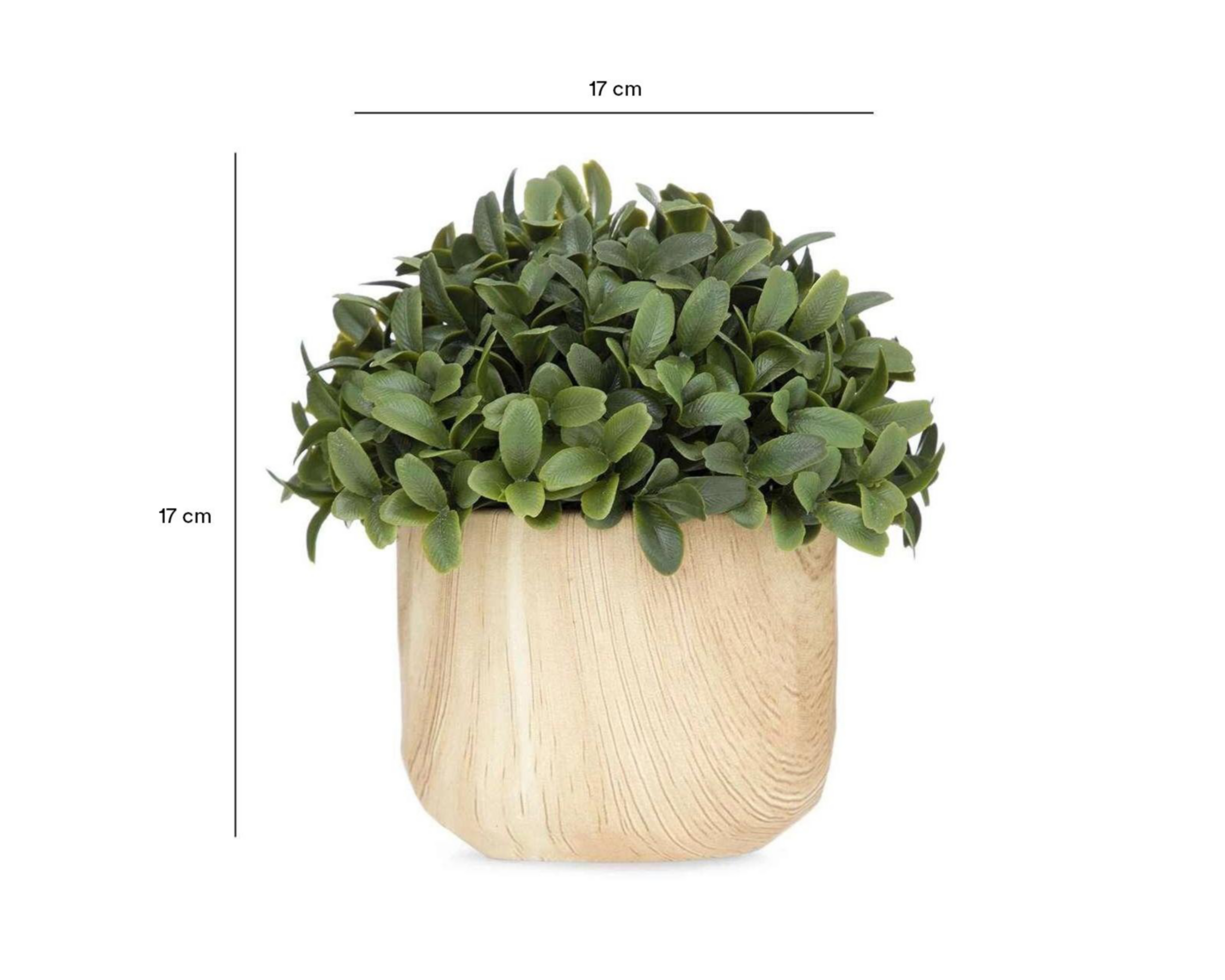 Foto 5 pulgar | Planta Artificial con Maceta Starhaus 17.7 cm