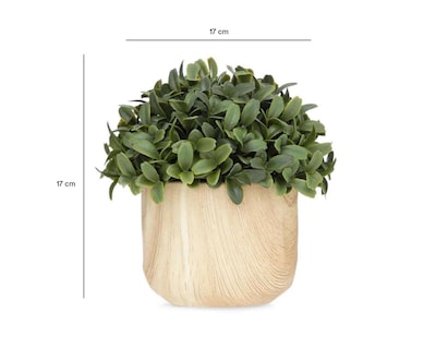 Foto 4 | Planta Artificial con Maceta Starhaus 17.7 cm
