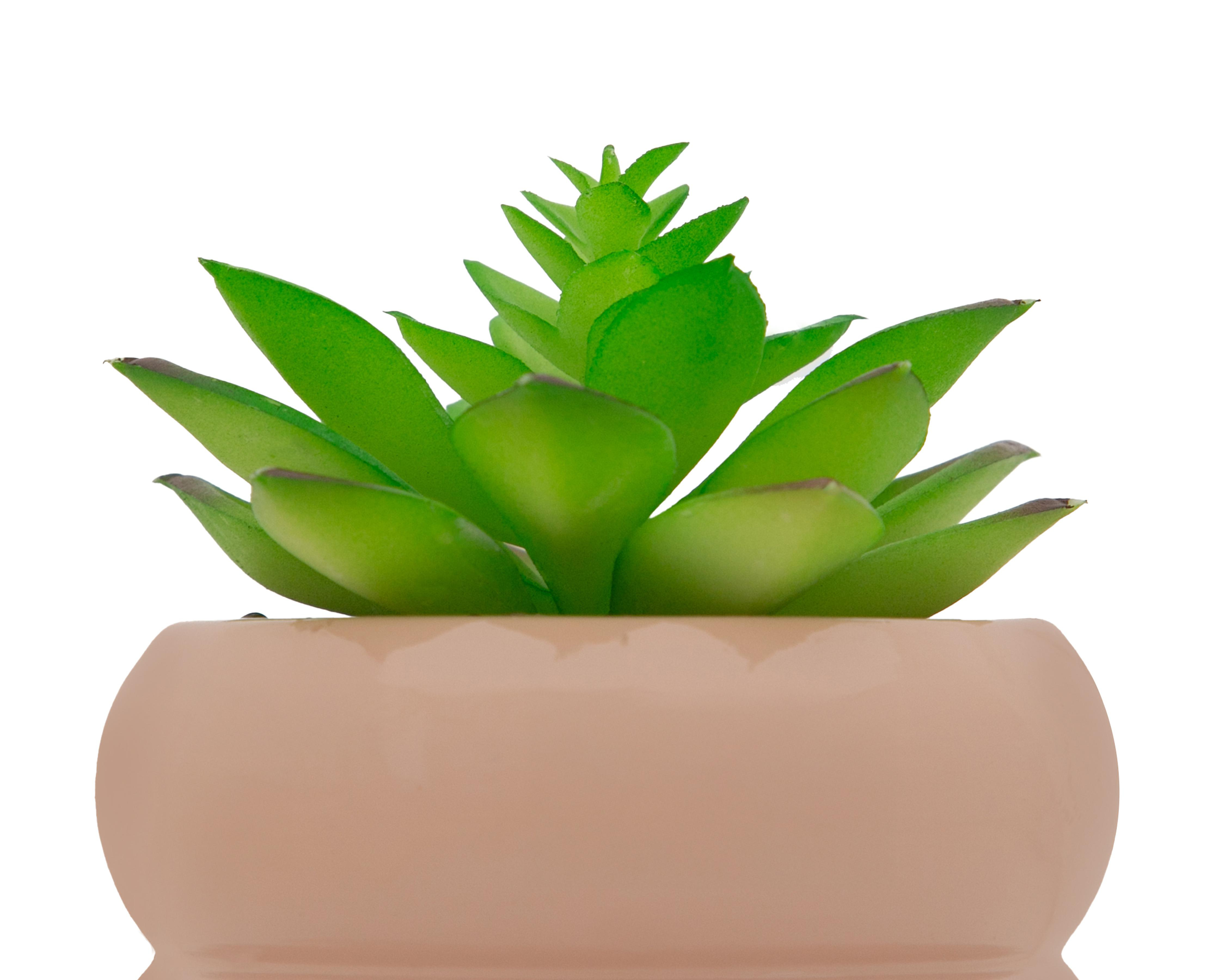 Foto 4 pulgar | Suculenta Artificial con Maceta Starhaus 16 cm
