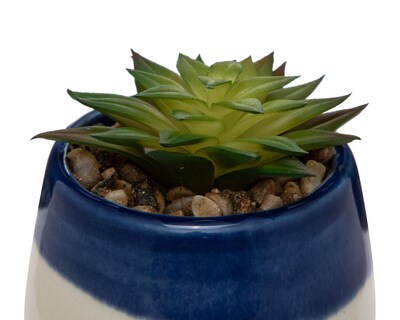 Foto 3 | Suculenta Artificial con Maceta Starhaus 9.5 cm