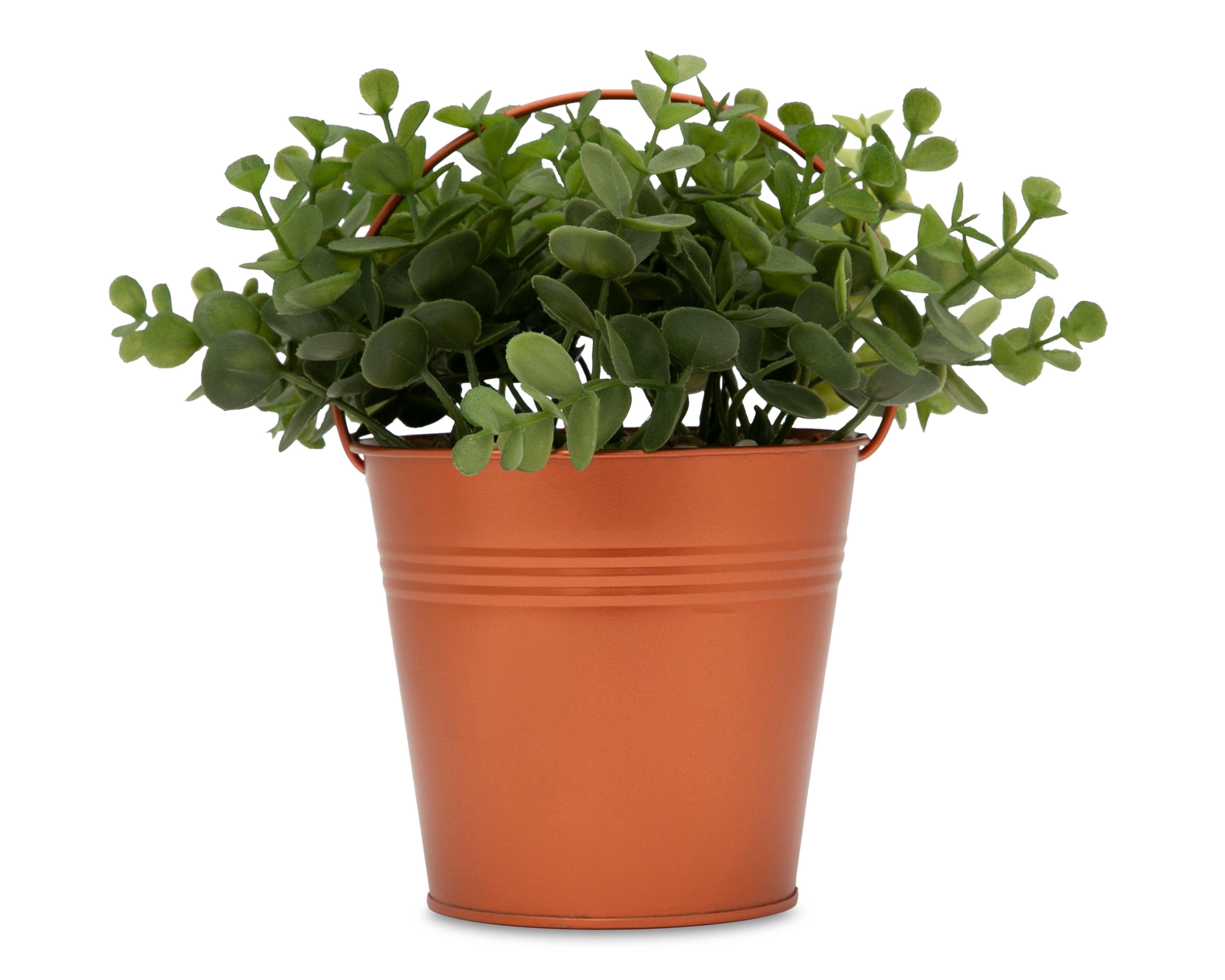 Árbol de Jade Artificial con Maceta Starhaus 20 cm